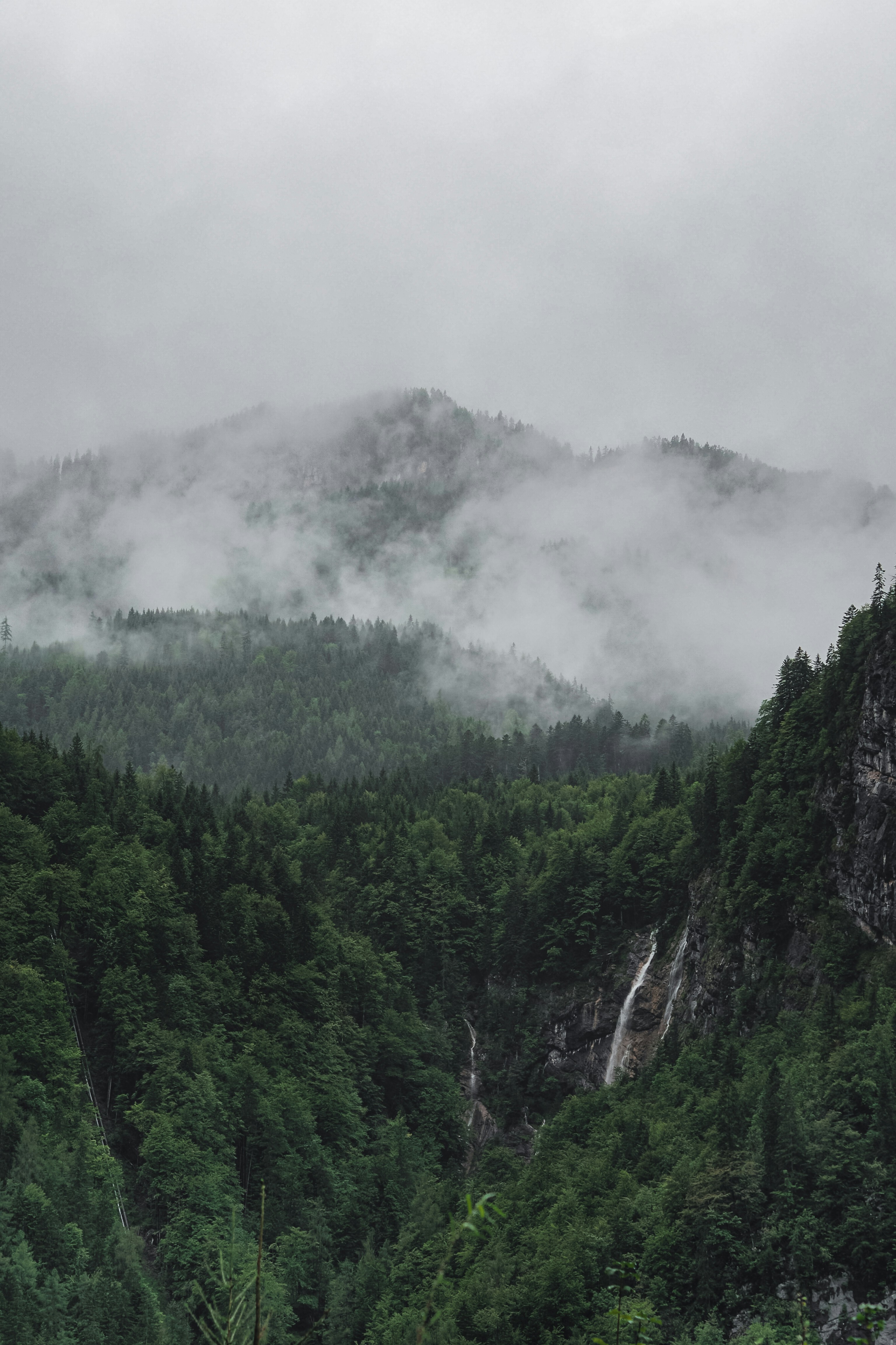 Photo by laurachouette