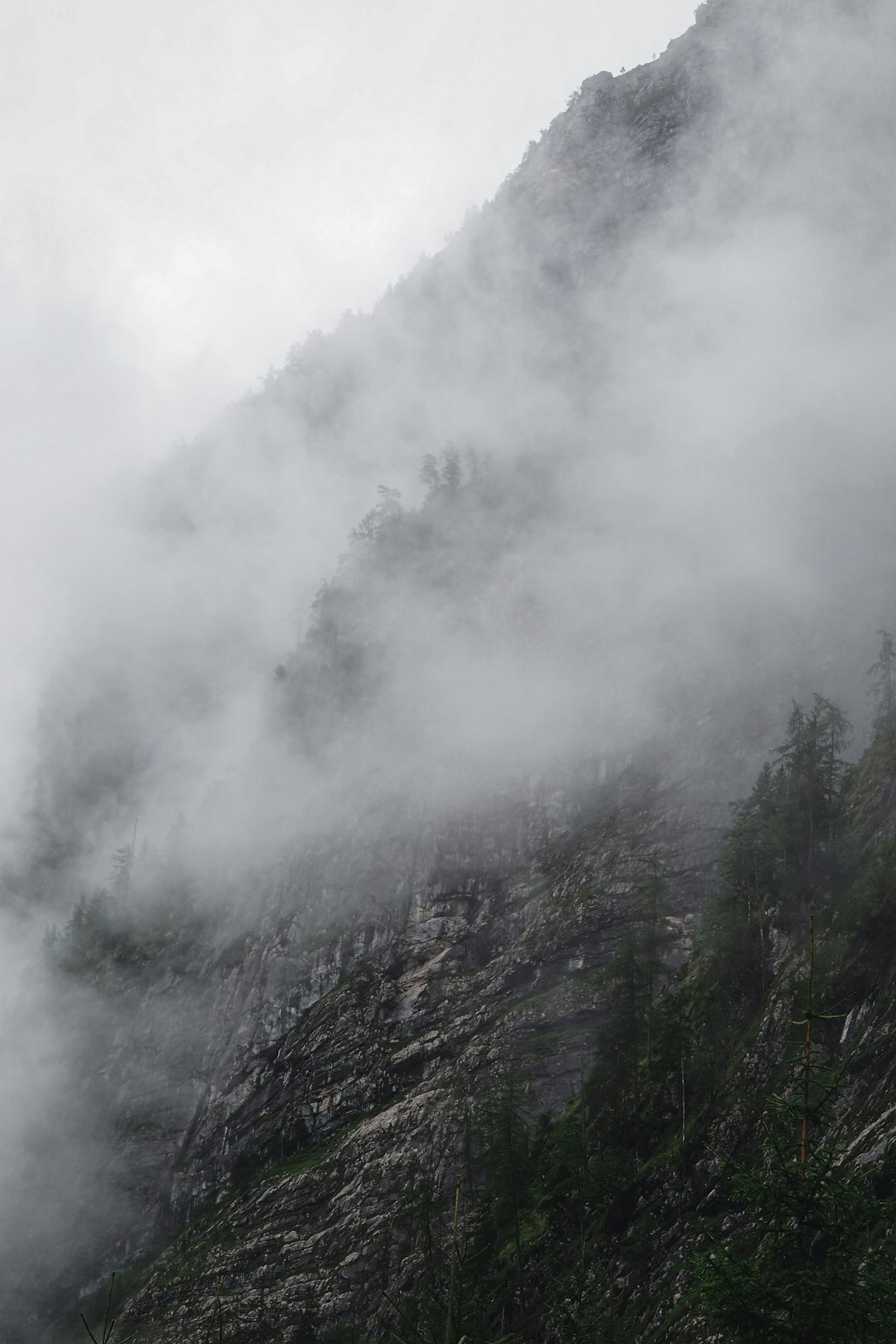 green trees on mountain under white clouds during daytime