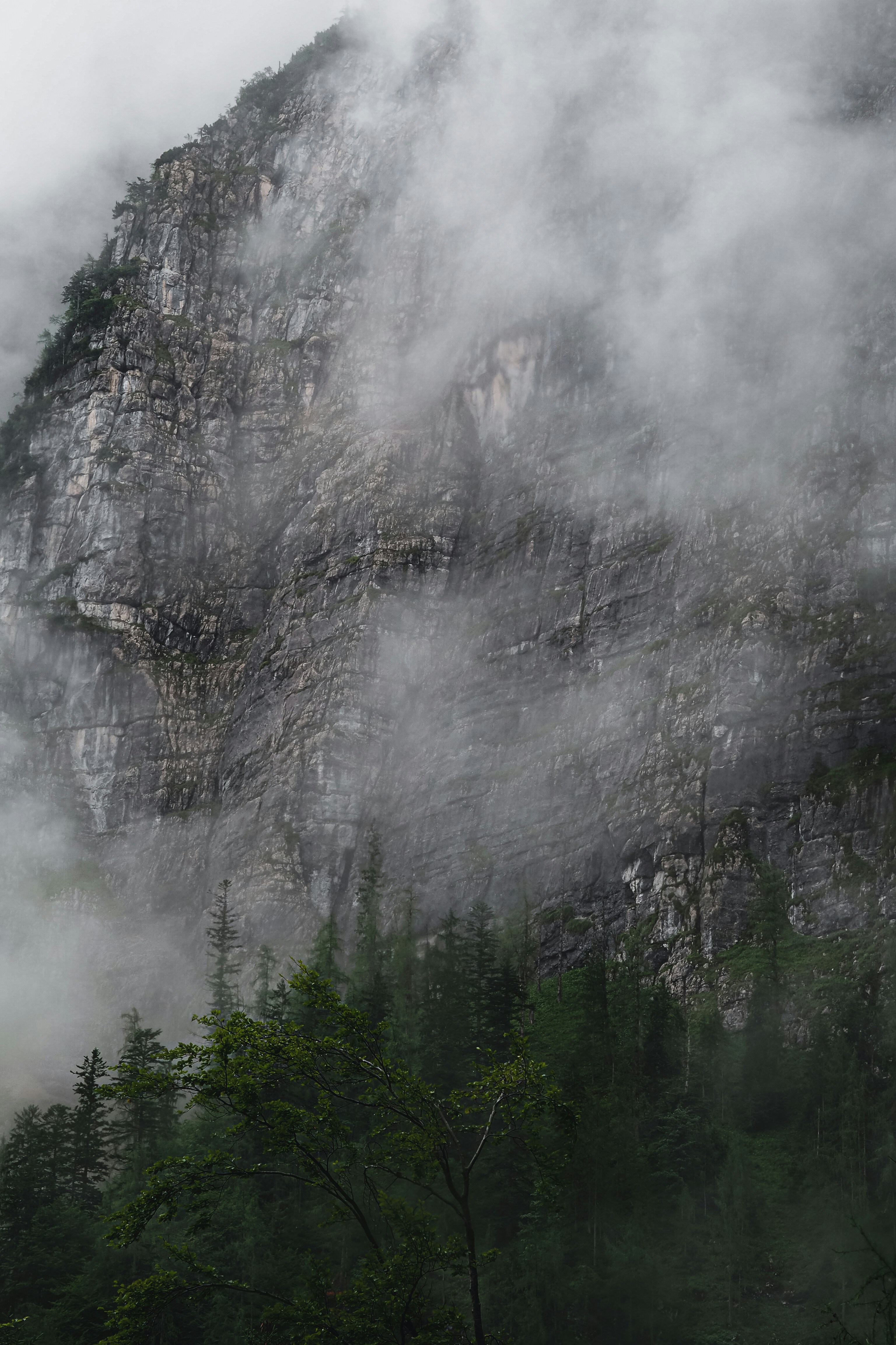 Photo by laurachouette