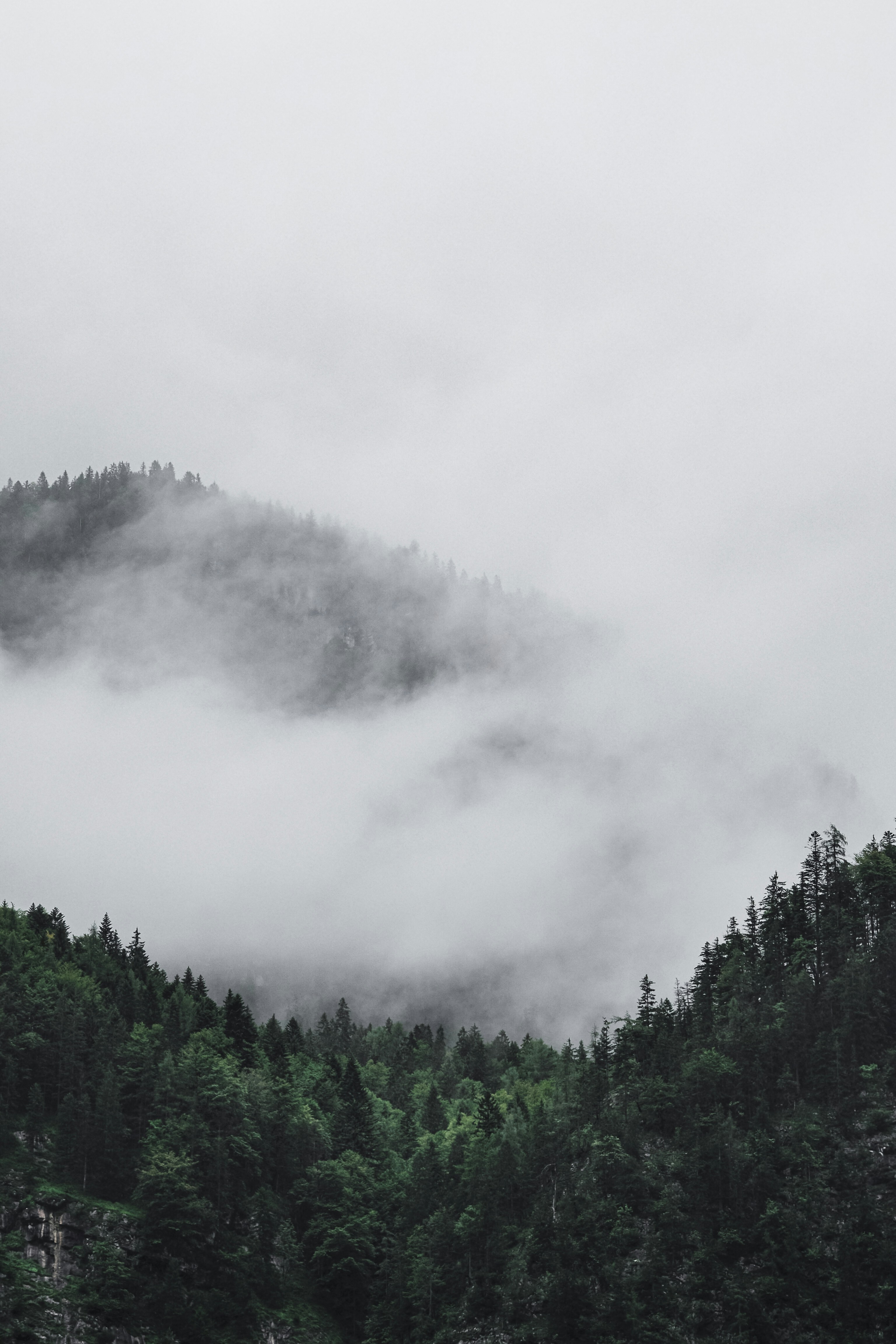 Photo by laurachouette