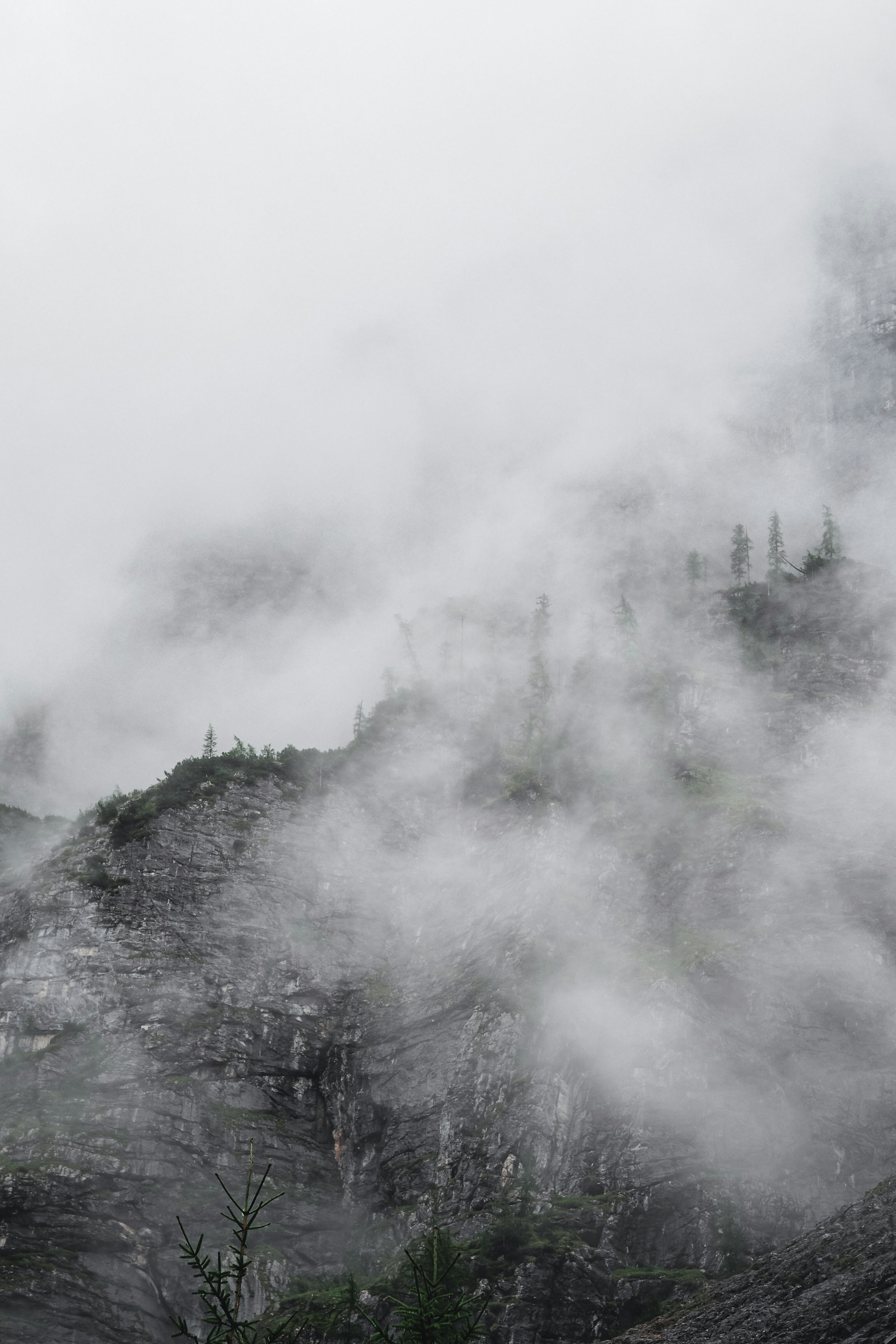 Photo by laurachouette