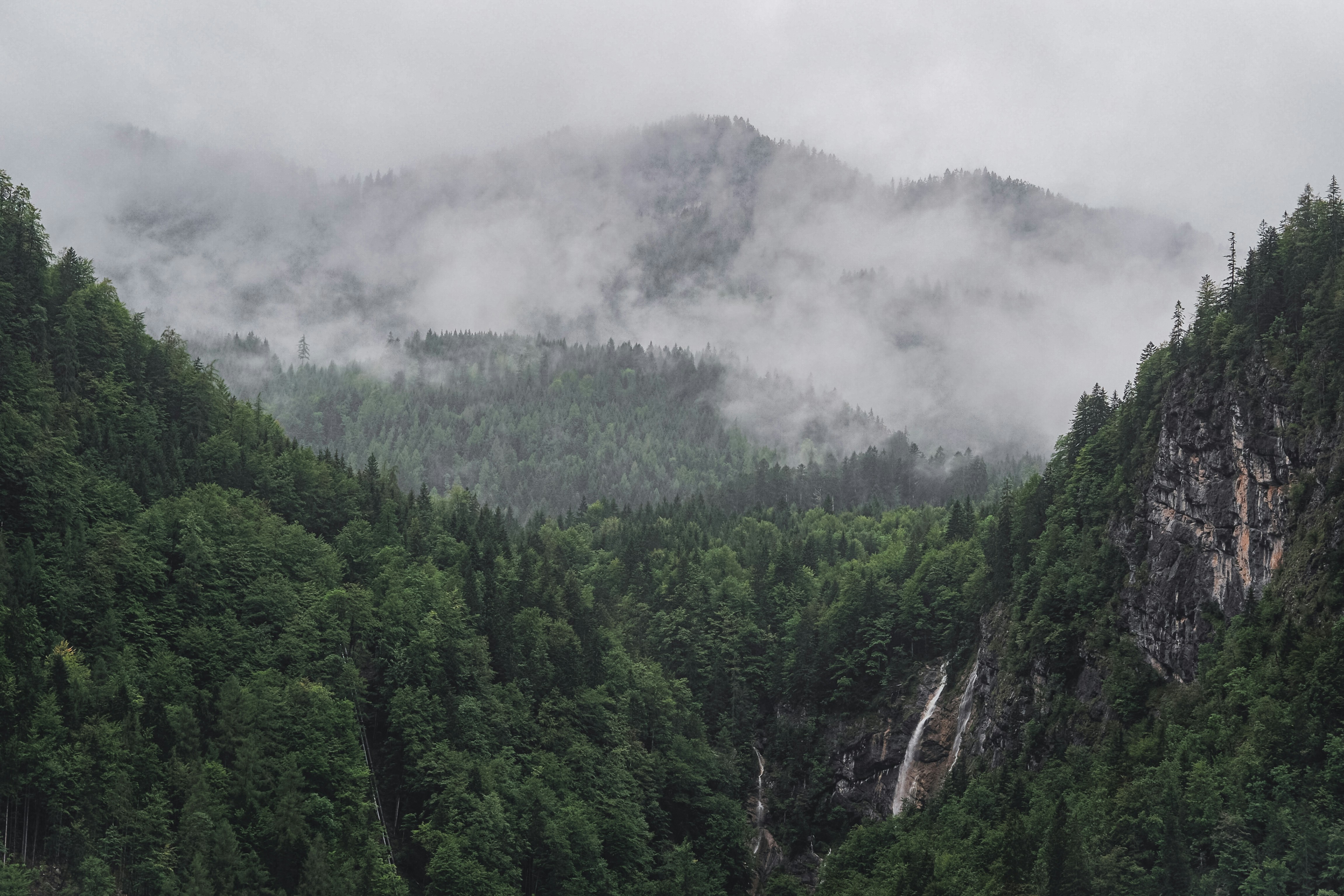 Photo by laurachouette