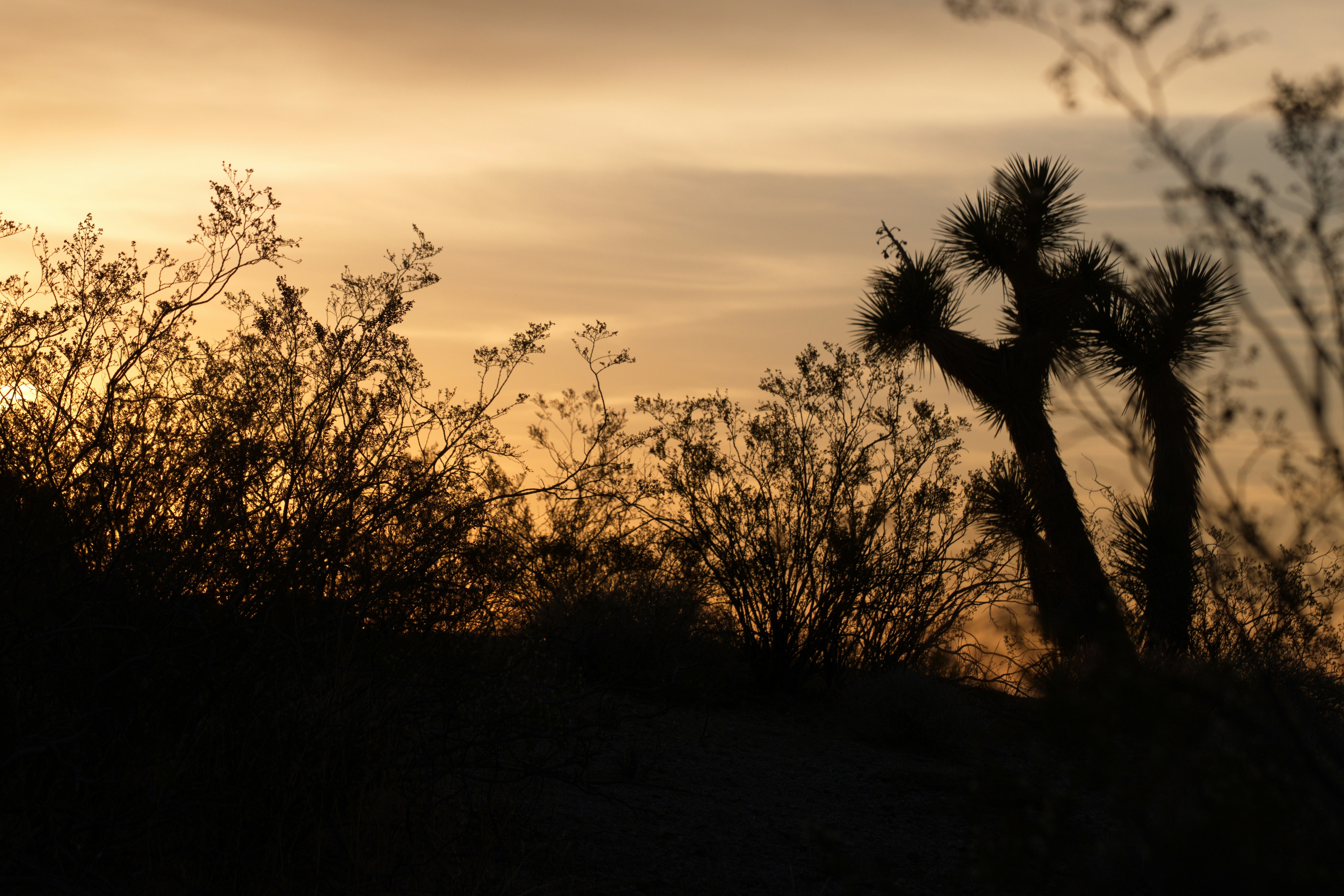 Photo by michael_yantis