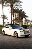 A luxury white Rolls Royce car is parked on a cobblestone road lined with tall palm trees. The car has a sleek design with a glossy black roof and shiny chrome accents. The background includes neatly trimmed bushes and a clear sky, suggesting a warm climate.