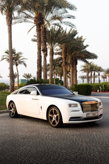 A luxury white Rolls Royce car is parked on a cobblestone road lined with tall palm trees. The car has a sleek design with a glossy black roof and shiny chrome accents. The background includes neatly trimmed bushes and a clear sky, suggesting a warm climate.