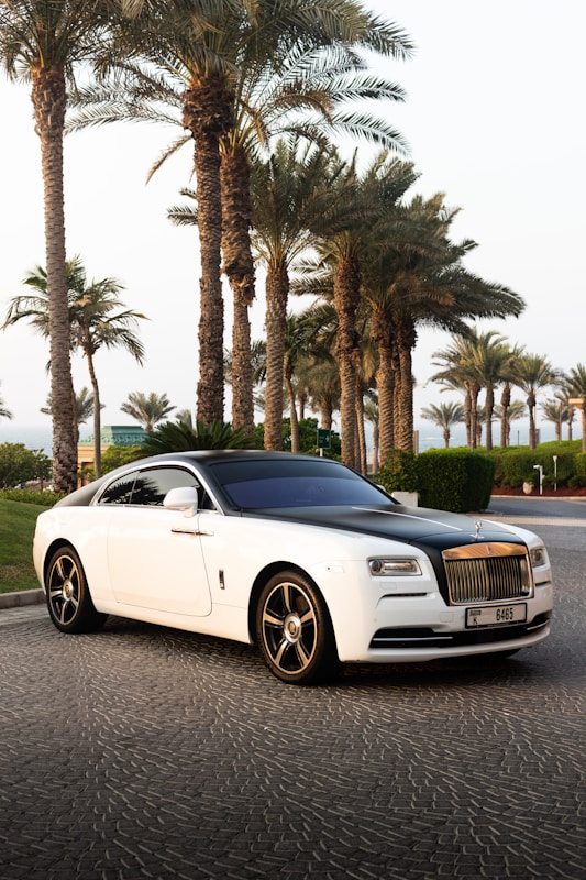A luxury white Rolls Royce car is parked on a cobblestone road lined with tall palm trees. The car has a sleek design with a glossy black roof and shiny chrome accents. The background includes neatly trimmed bushes and a clear sky, suggesting a warm climate.