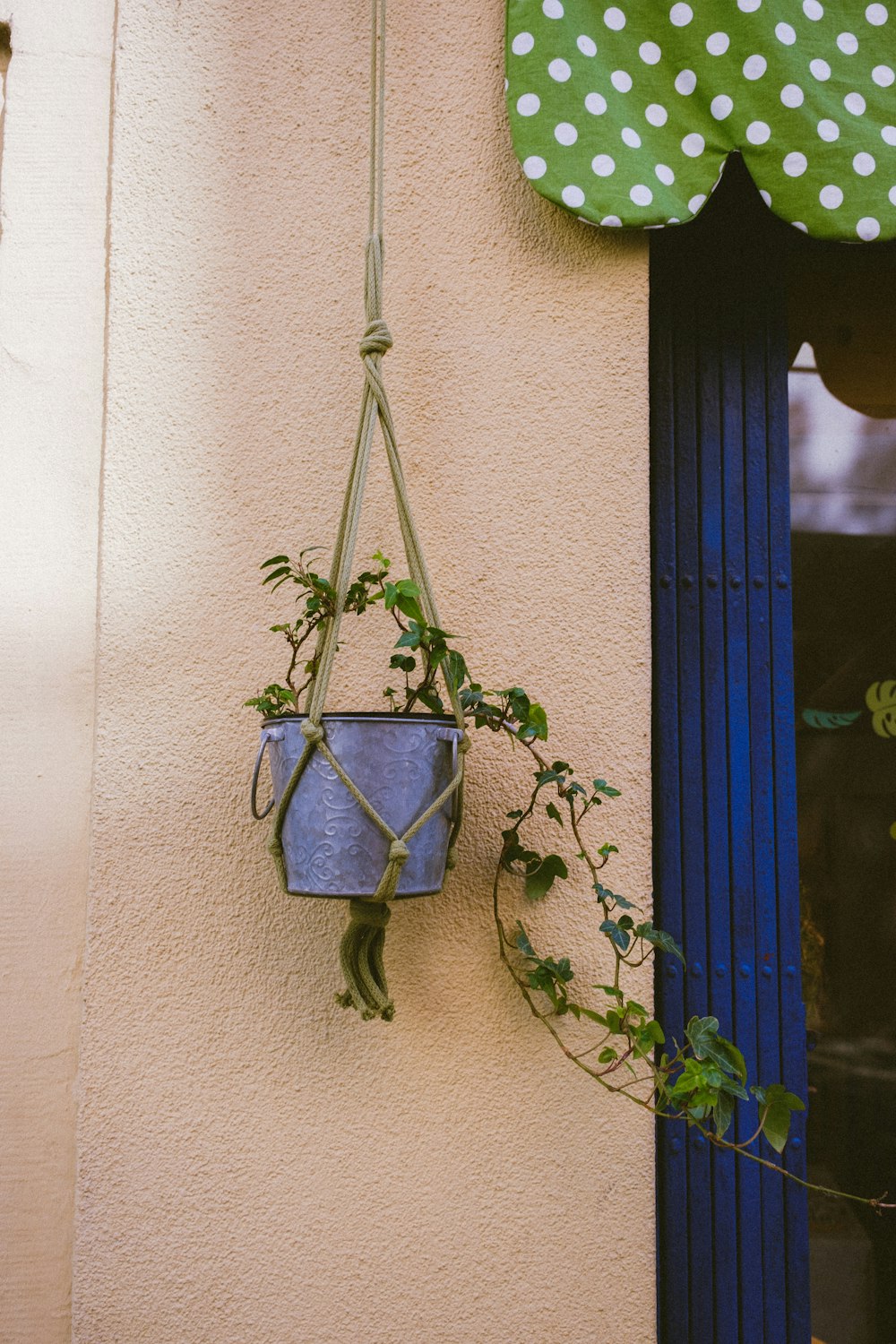 green and black hanging decor