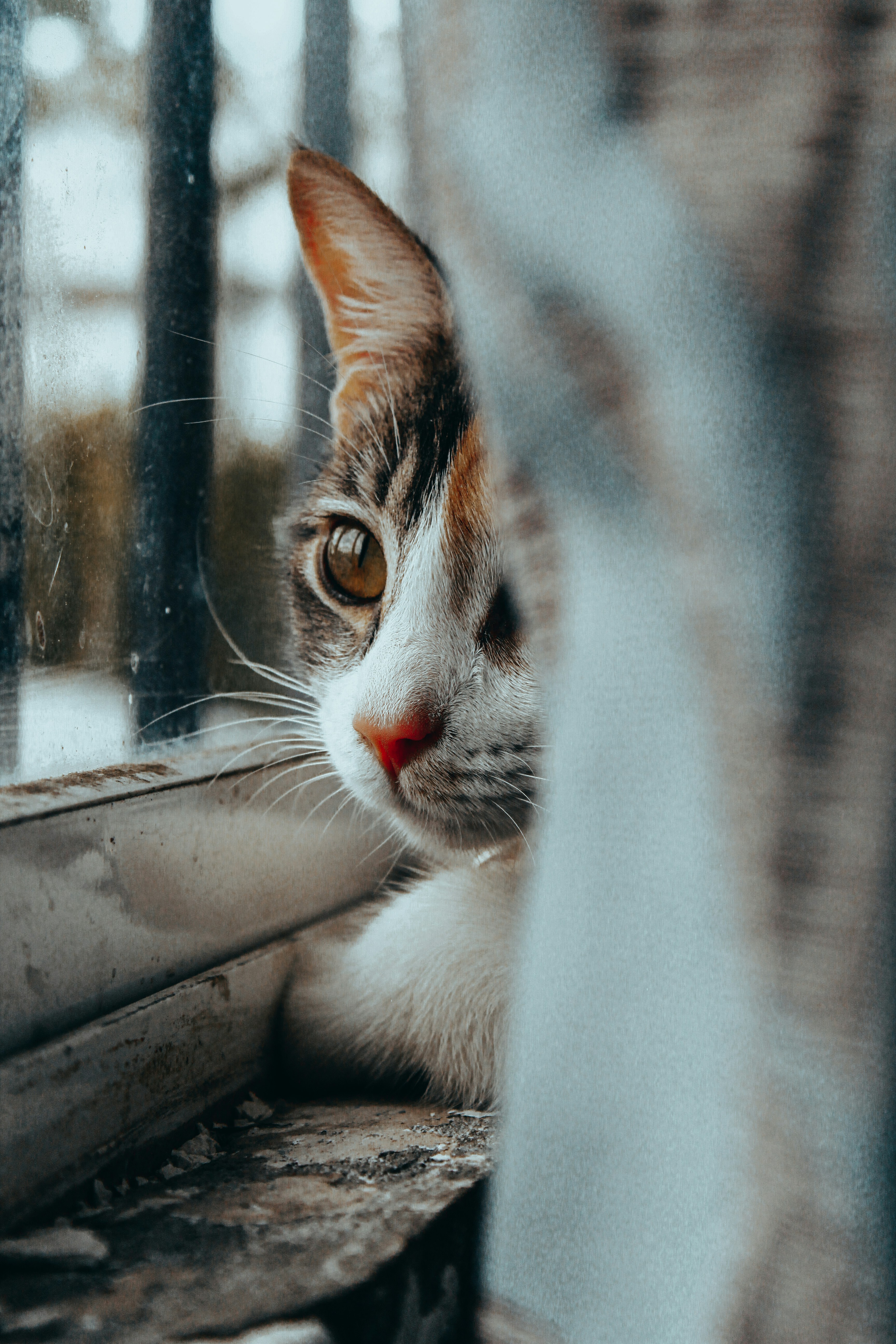 Photo by edgar4lanis