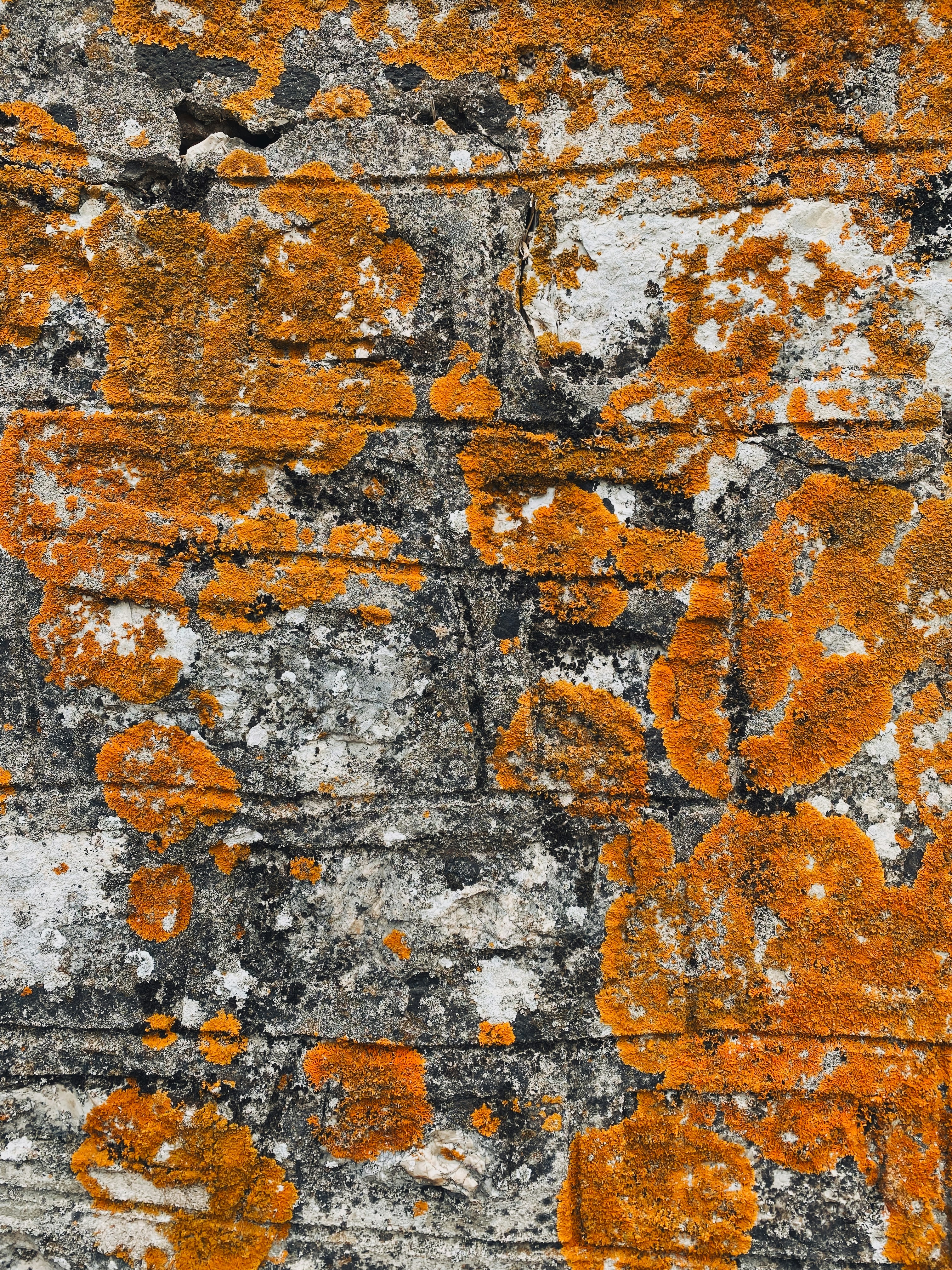 Photo by igor_dernovoy