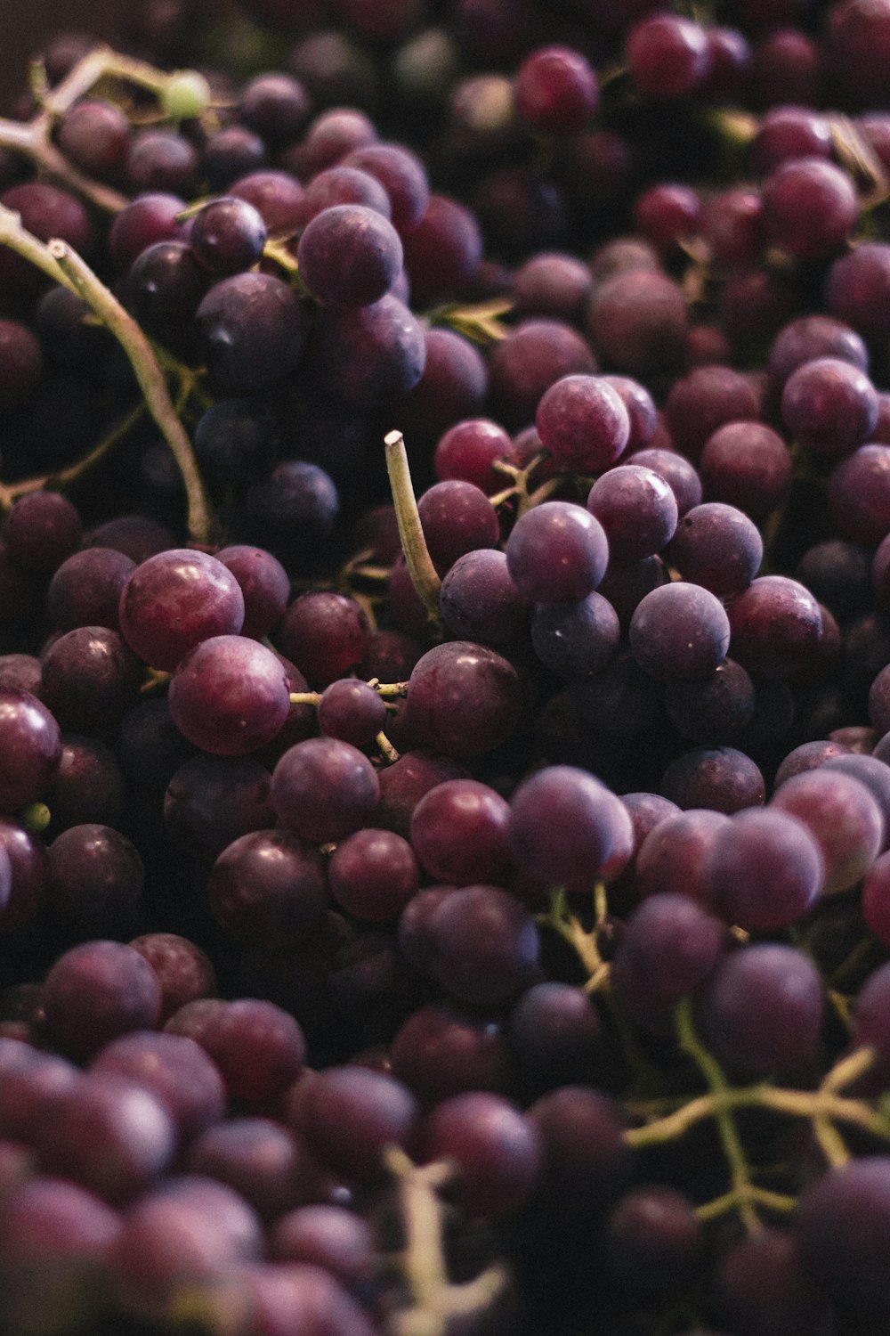 red and green round fruits