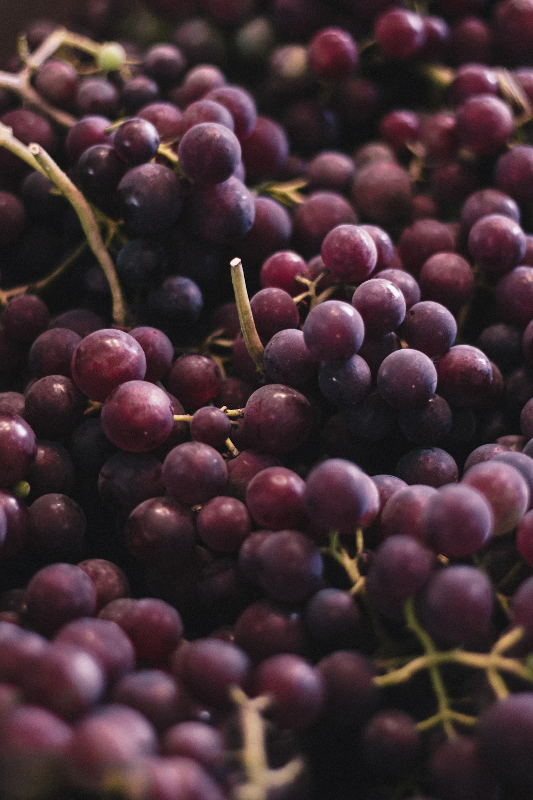 Uvas bajo análisis de visión computacional