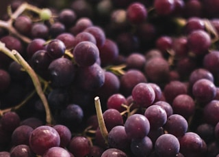 red and green round fruits