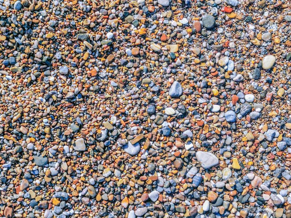 cailloux bruns et gris sur le sol