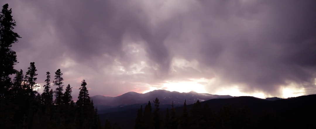 silhouette of trees under cloudy sky during daytime