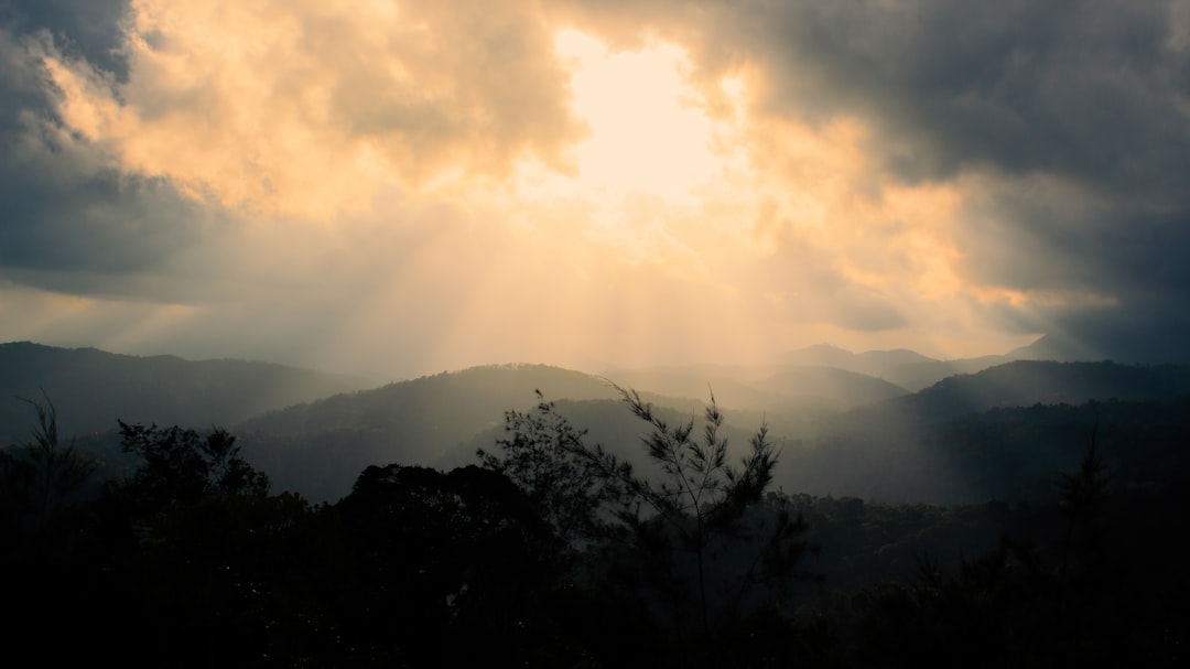 silhouette of trees and mountains during daytime