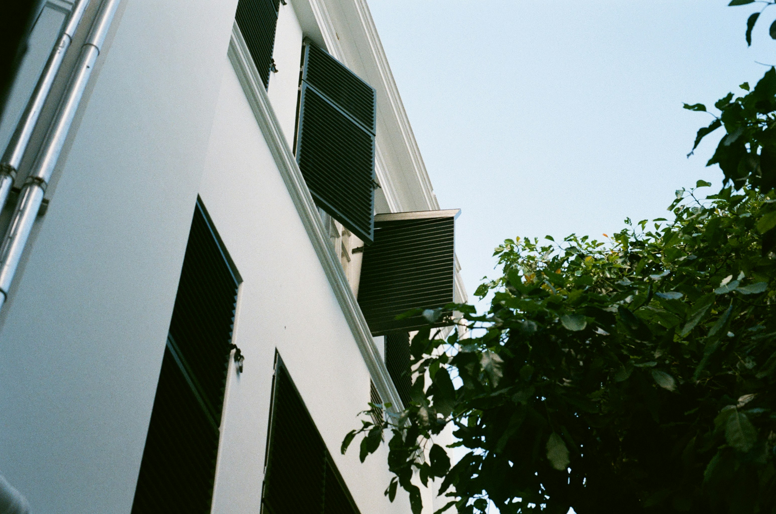 Photo by spoicebox