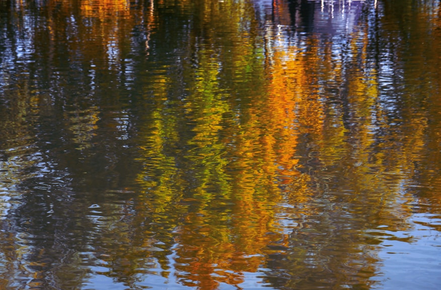 a boat floating on top of a lake surrounded by trees
