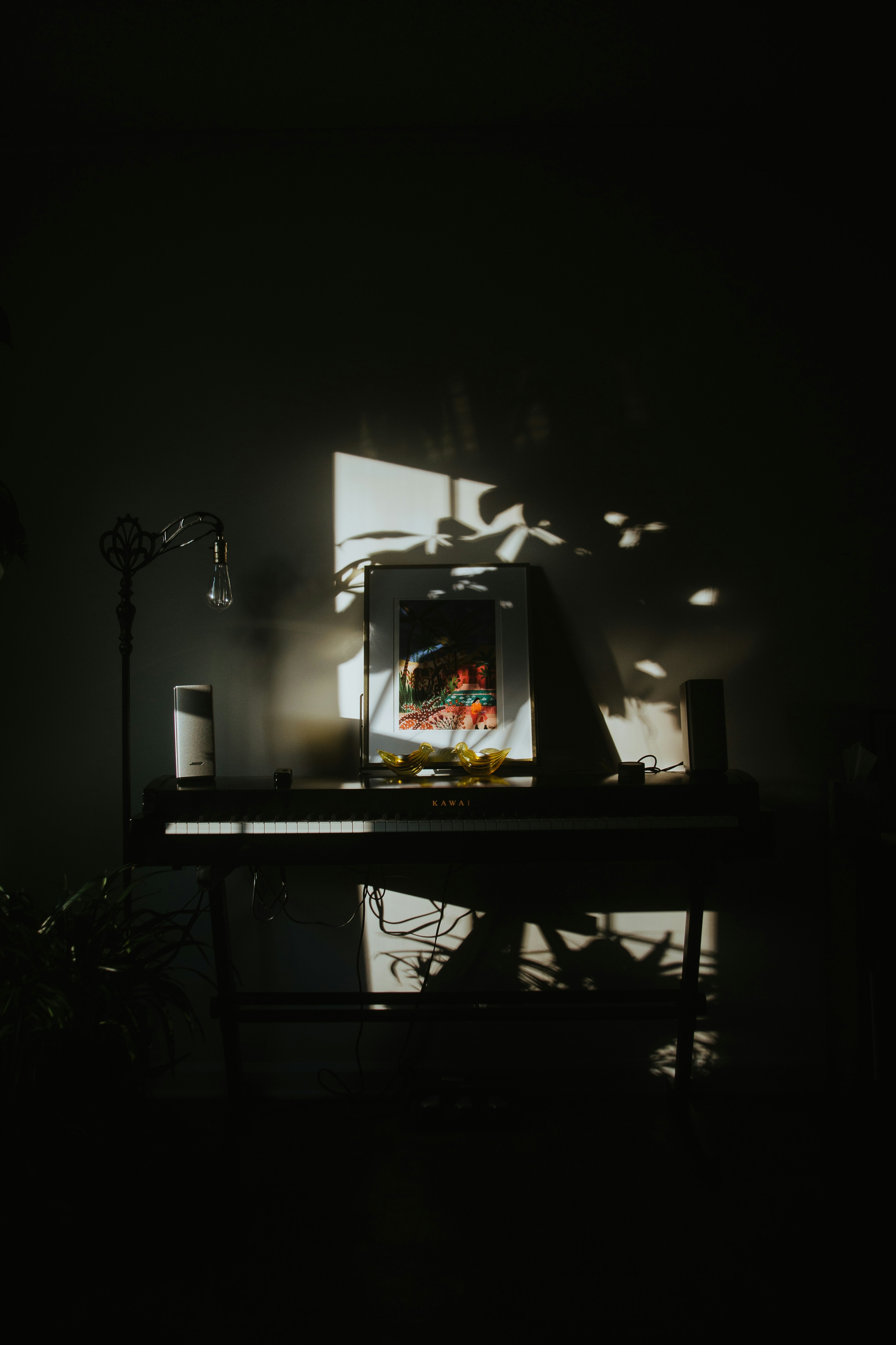 Photo by isaacmehegan