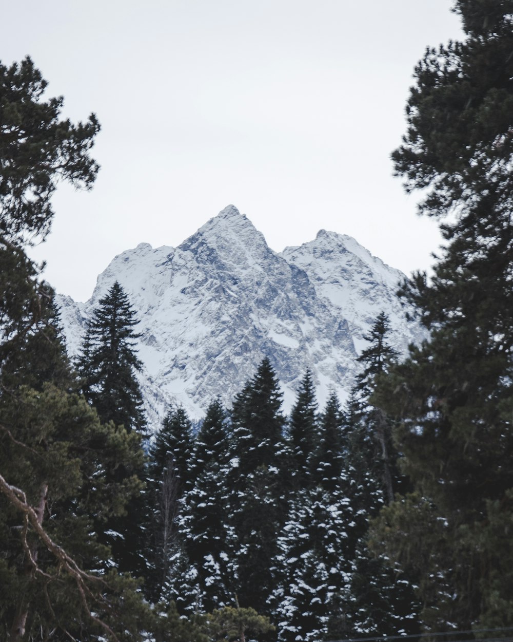 green trees near mountain during daytime