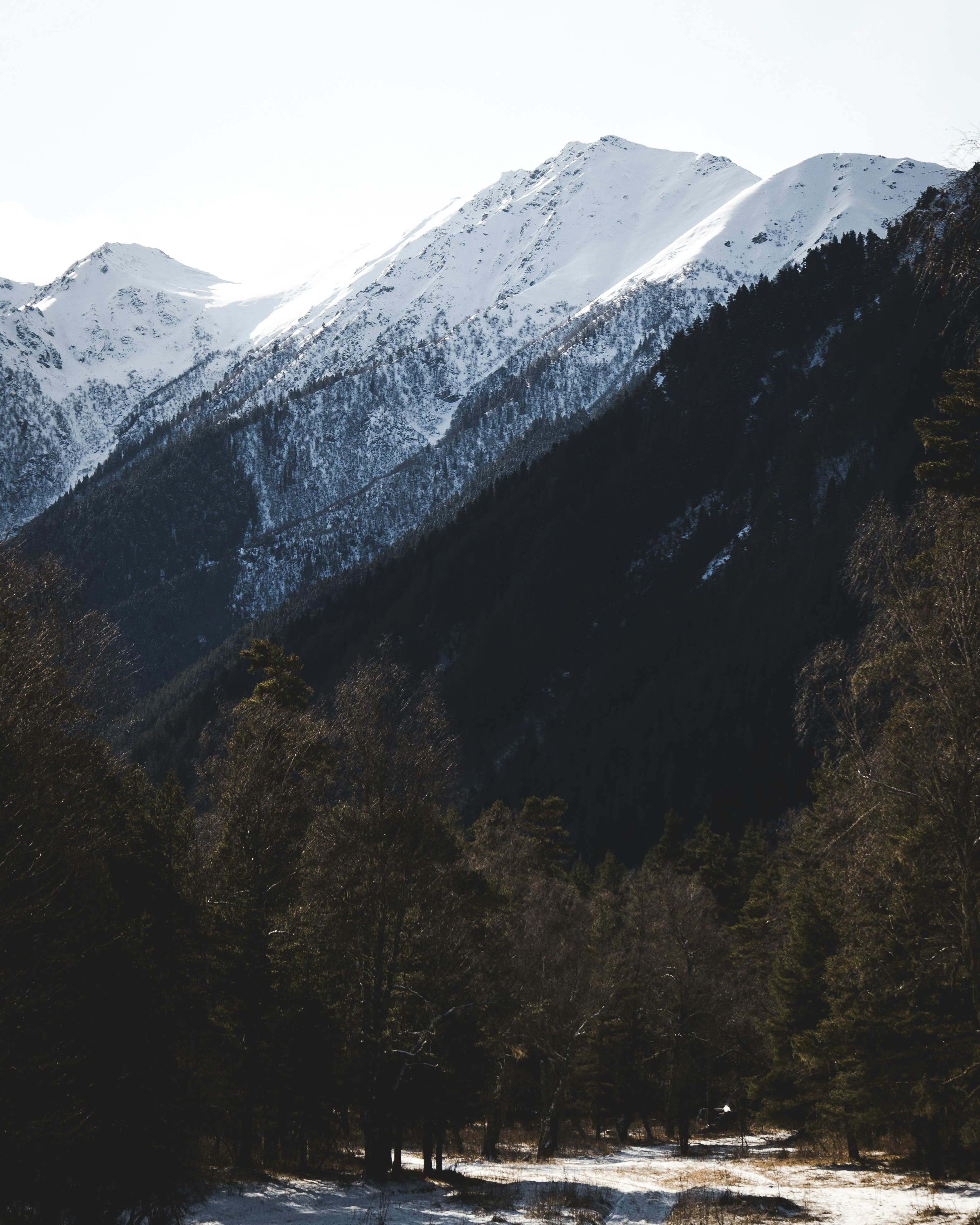 Photo by fillvlad_5031380_sink