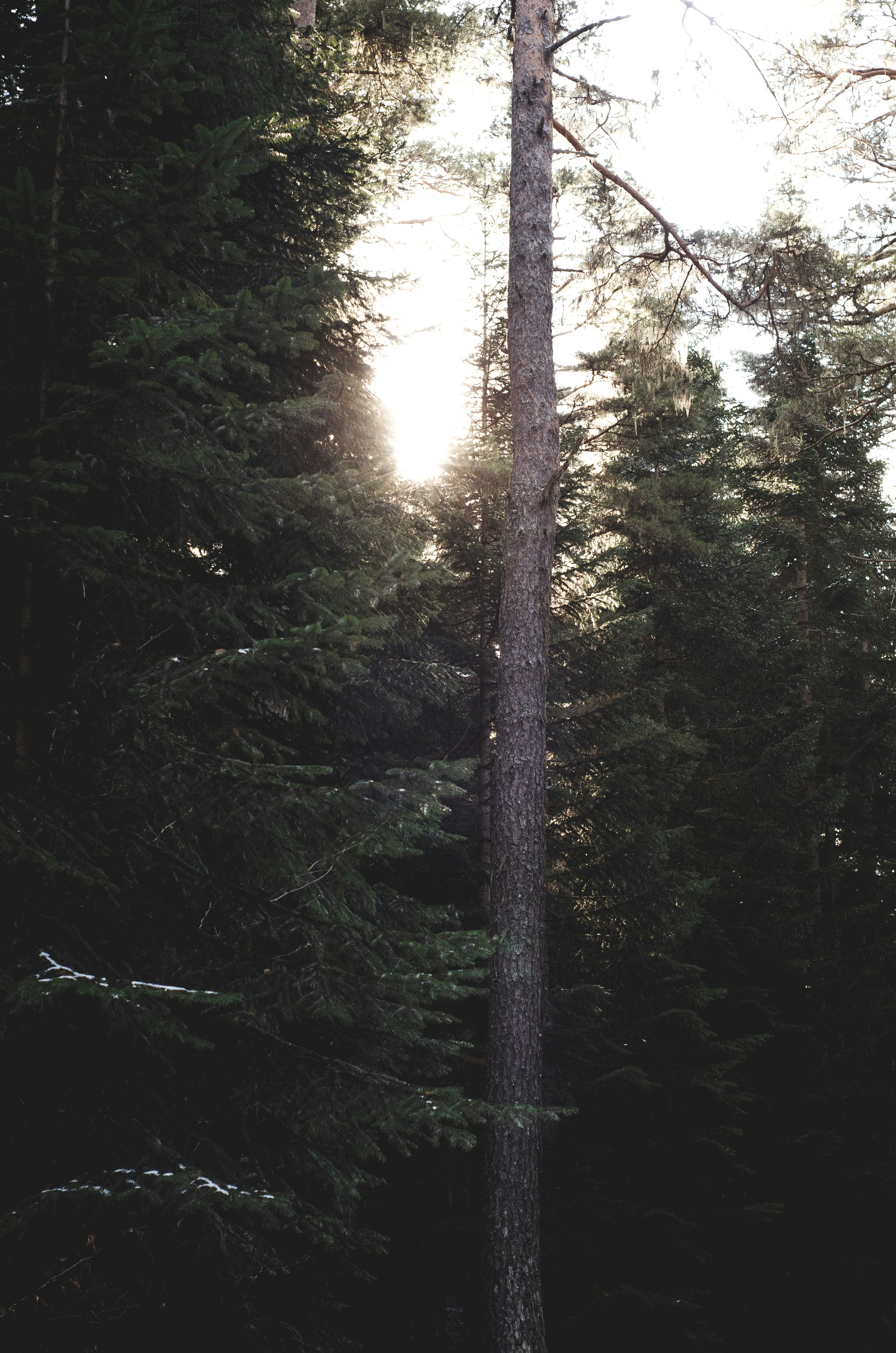 Photo by fillvlad_5031380_sink