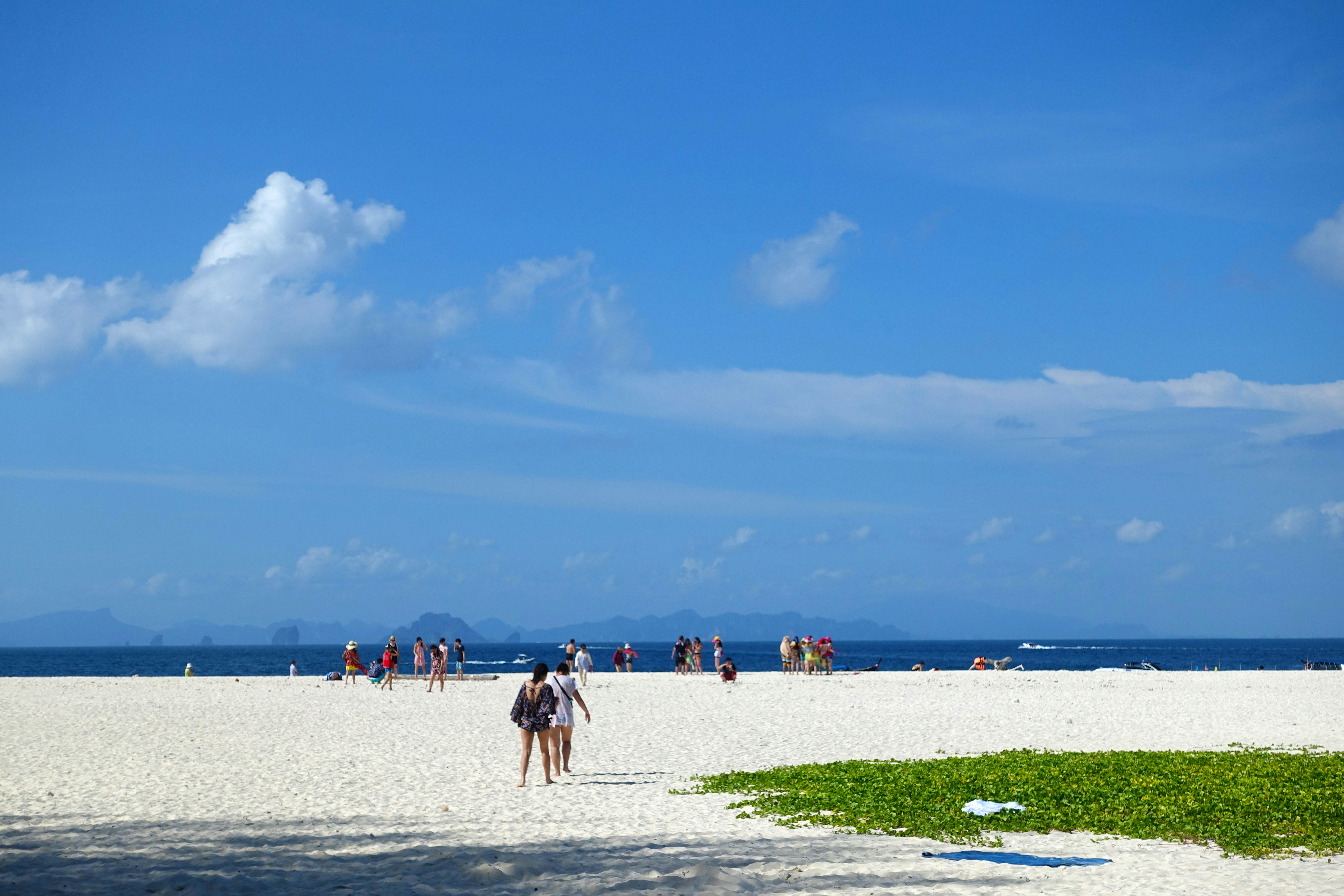 people on beach during daytime