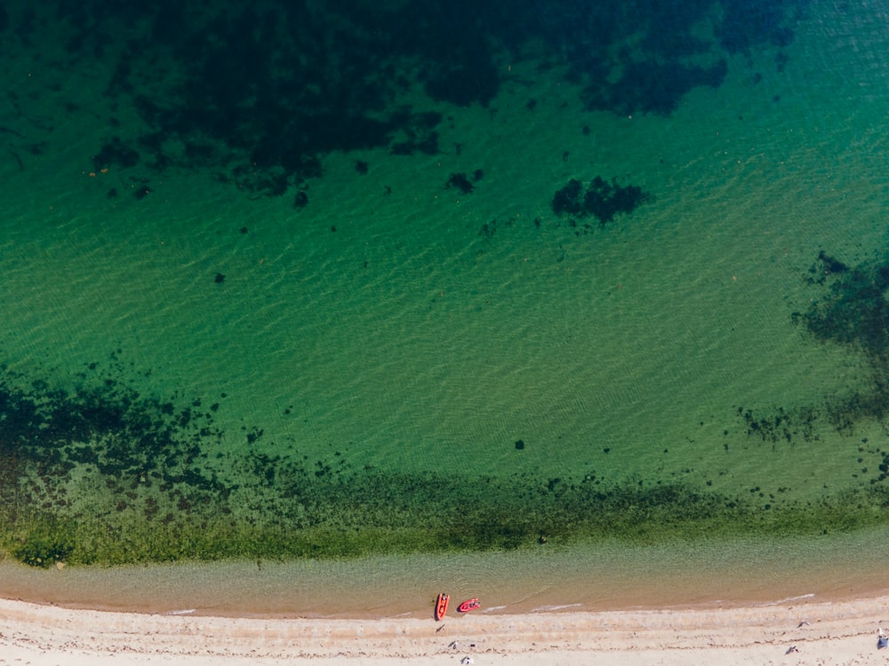 an aerial view of a beach with people walking on it