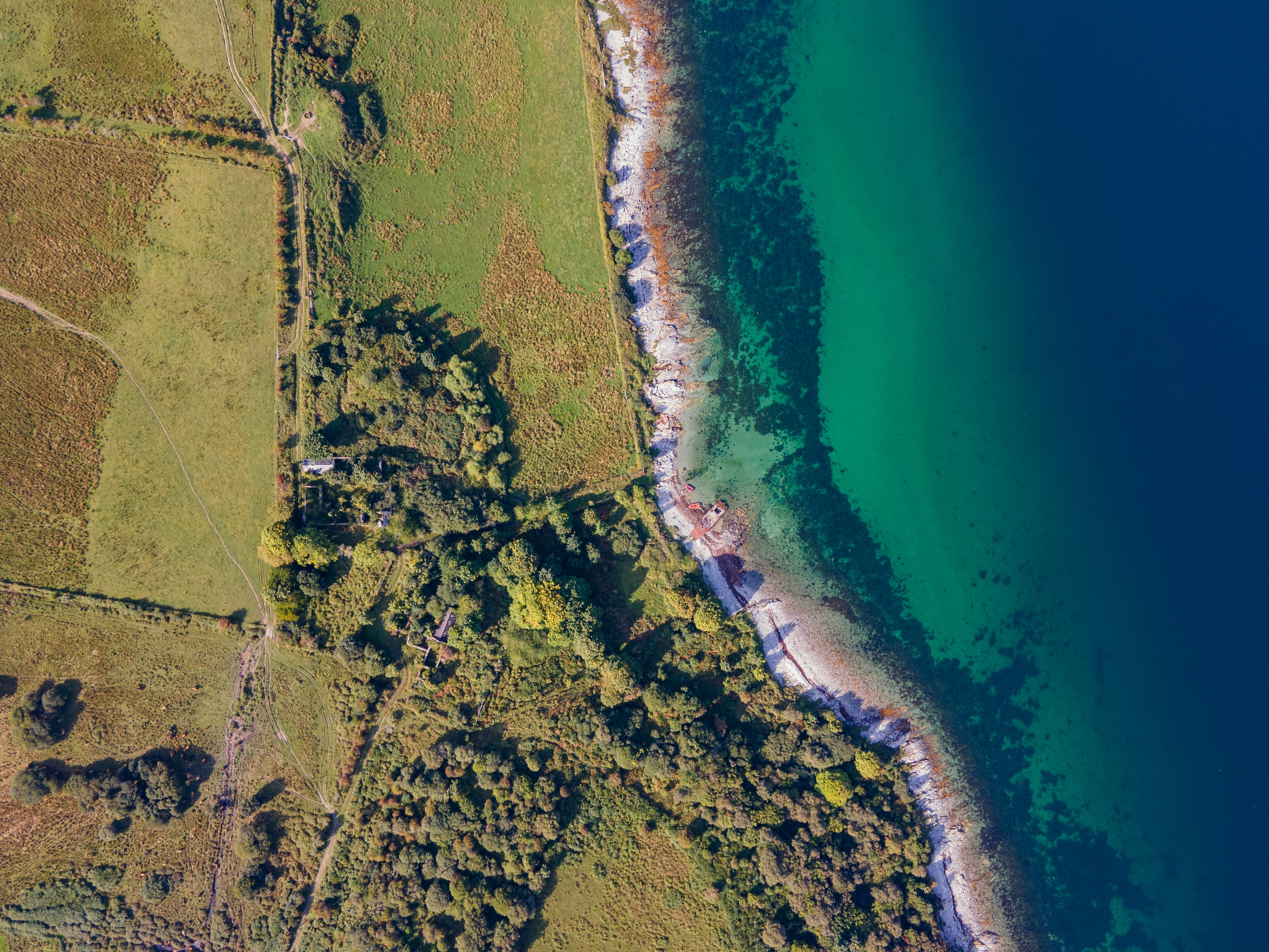 Photo by craig_bradford