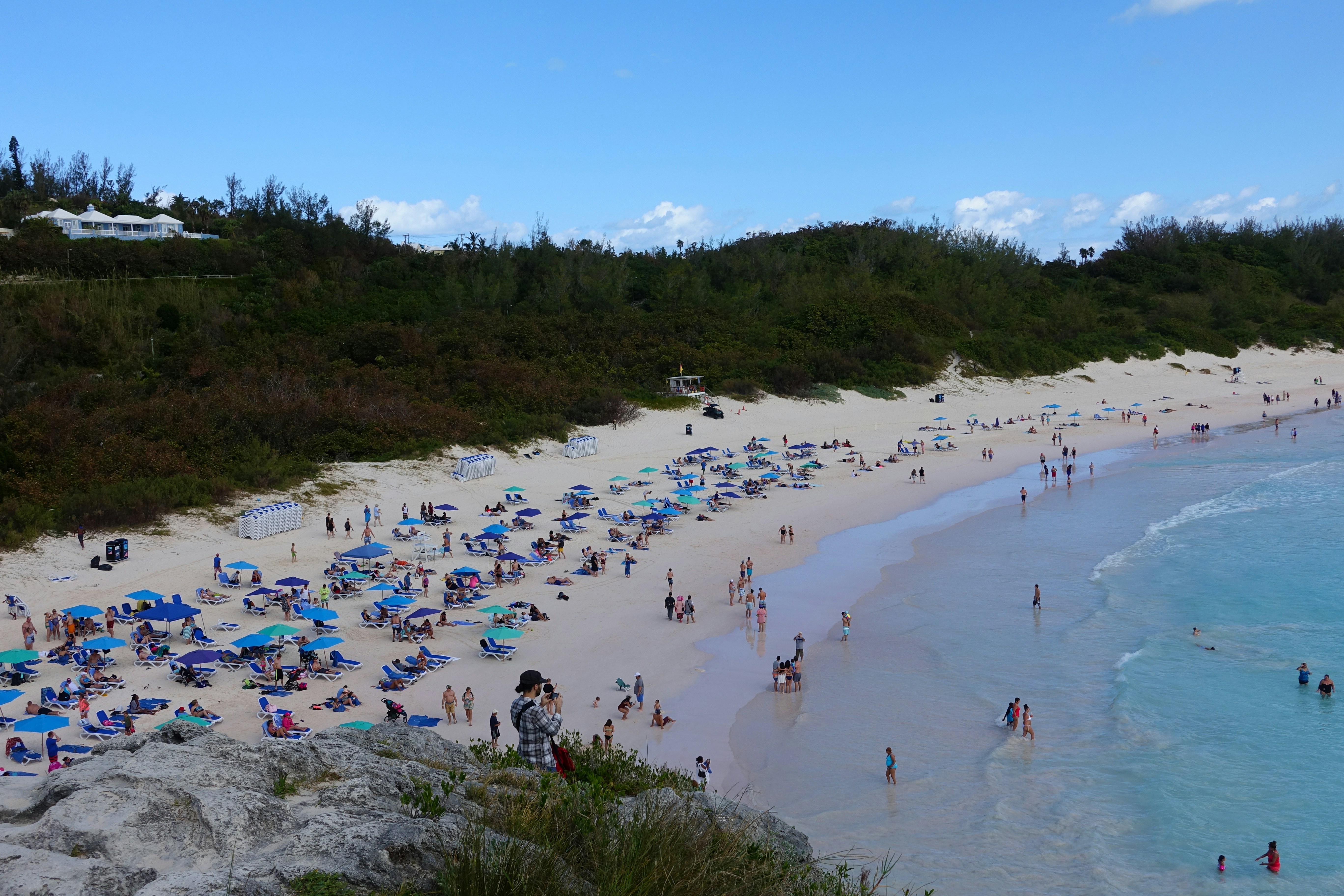 people on beach during daytime