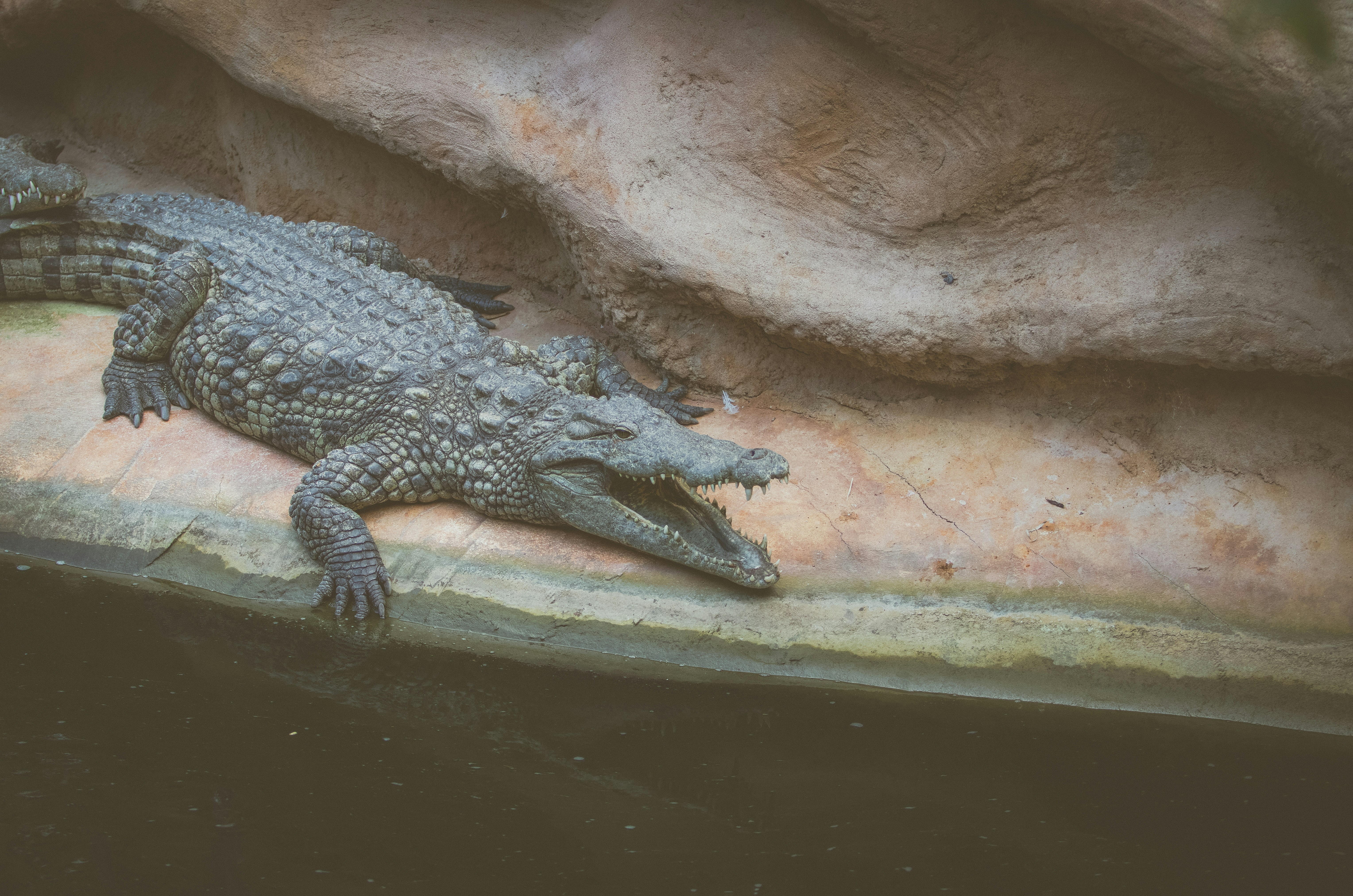 Photo by fred_el_peqenito