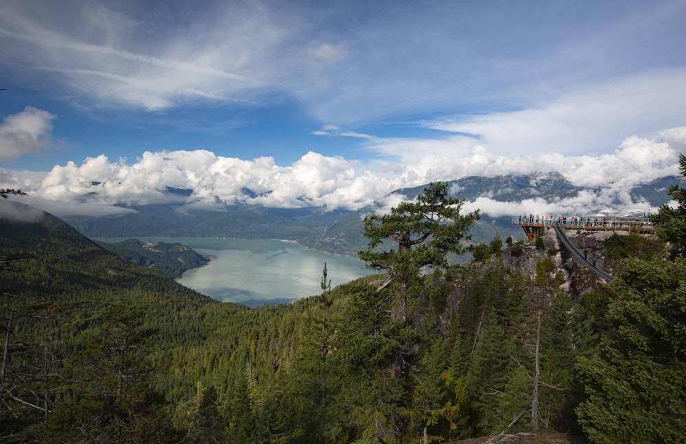 a scenic view of a lake surrounded by trees