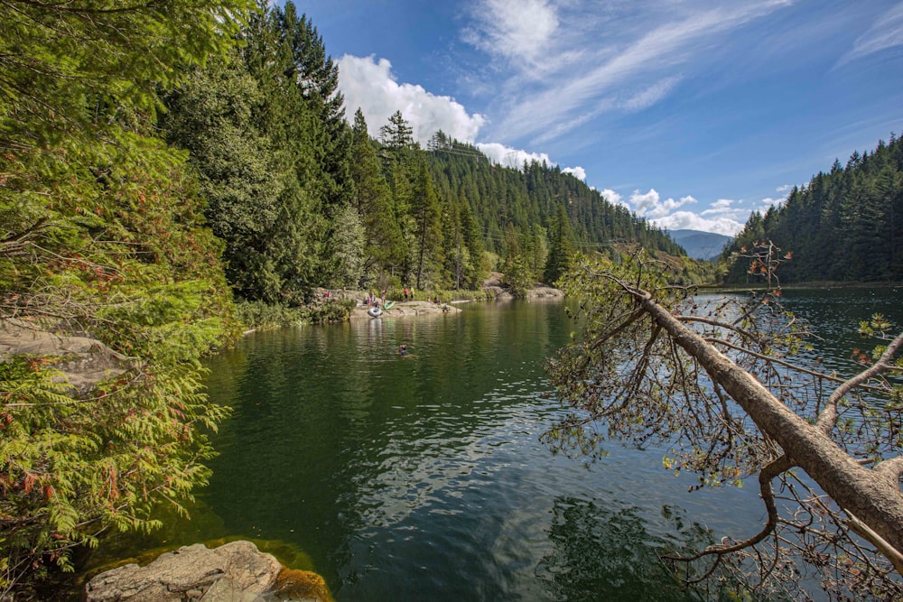 a body of water surrounded by trees and rocks