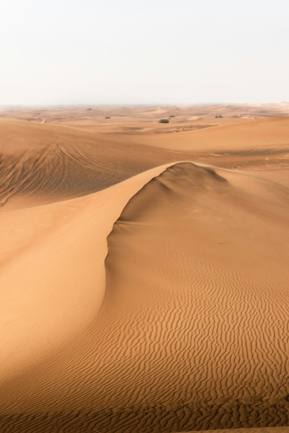 日中の茶色の砂丘