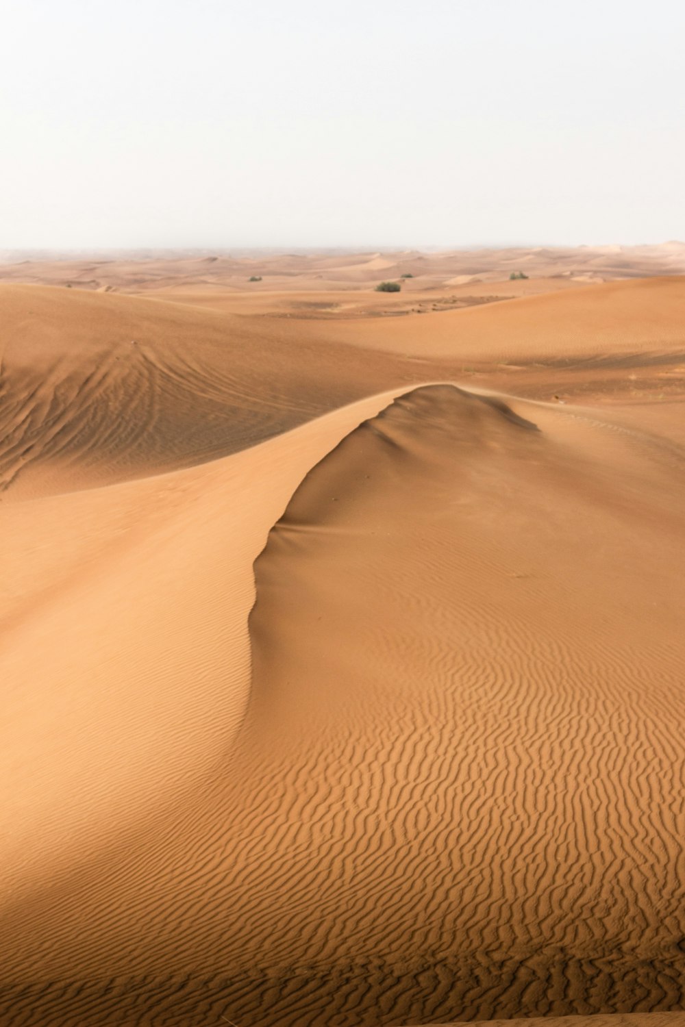 Braune Sanddünen tagsüber