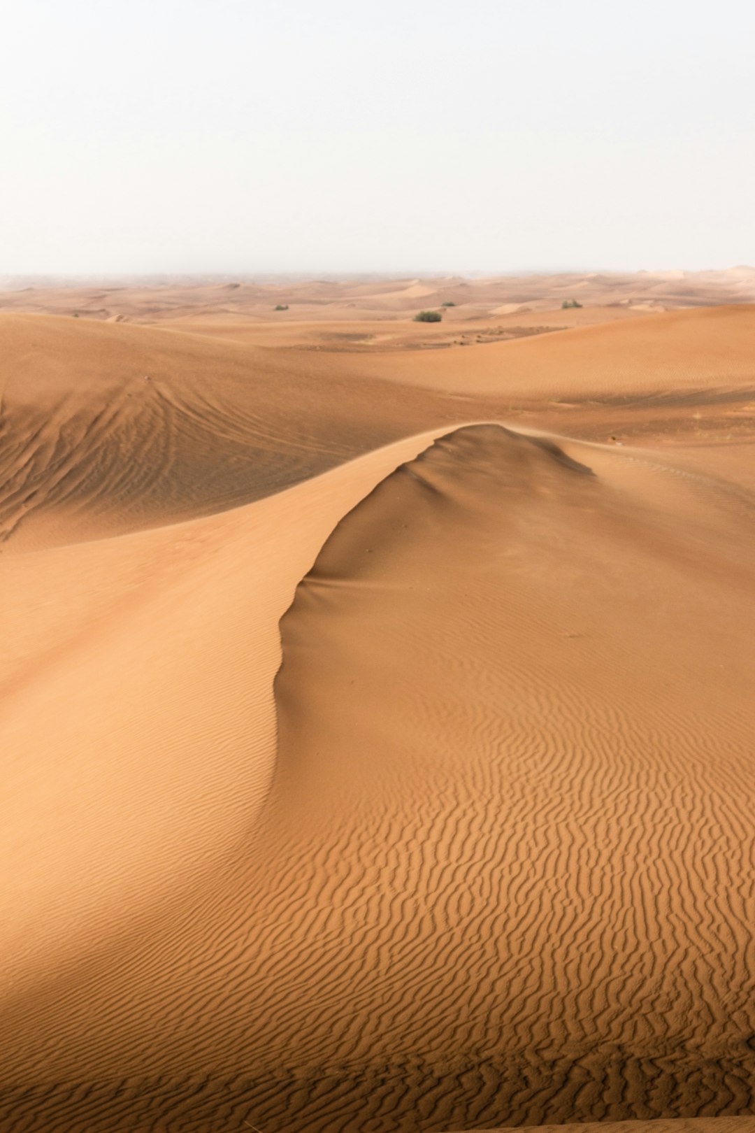 brown sand dunes during daytime