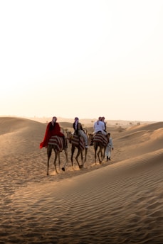 people riding horses on brown sand during daytime