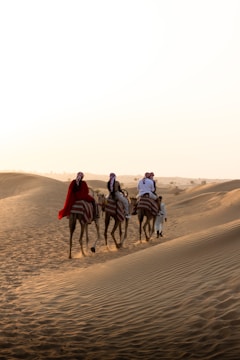 people riding horses on brown sand during daytime