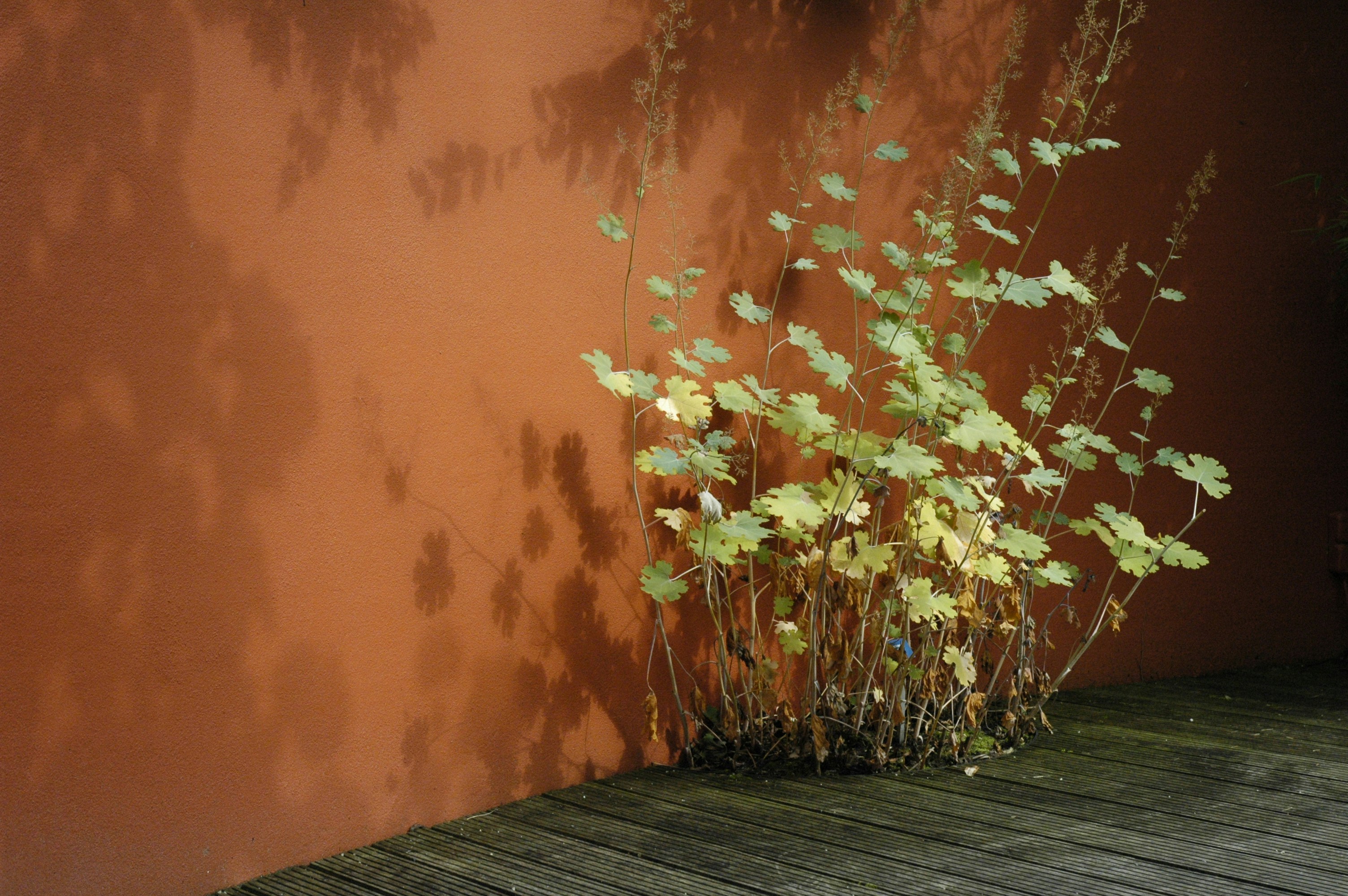 Photo by lamartine55