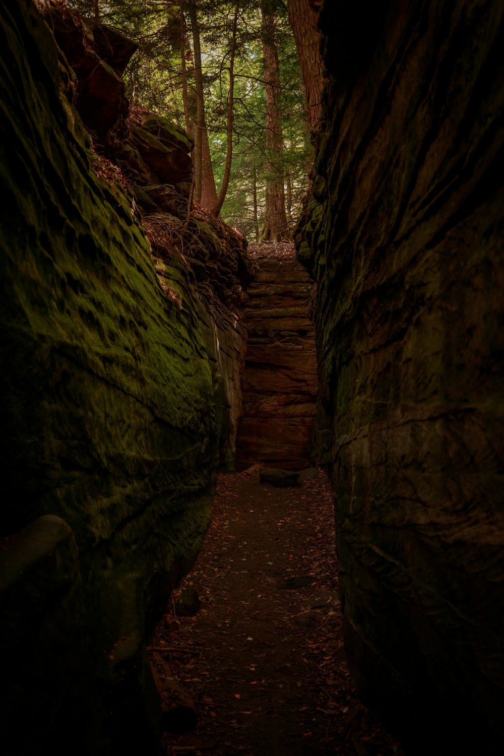 brown wooden stairs between brown rock formation during daytime