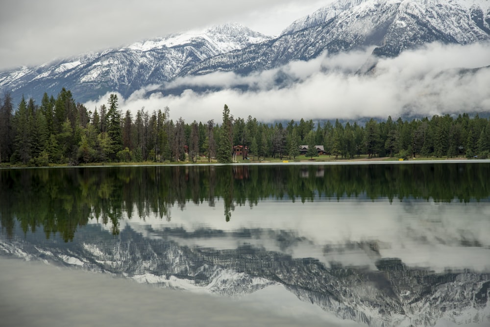 Árboles verdes cerca del lago y la montaña cubierta de nieve durante el día