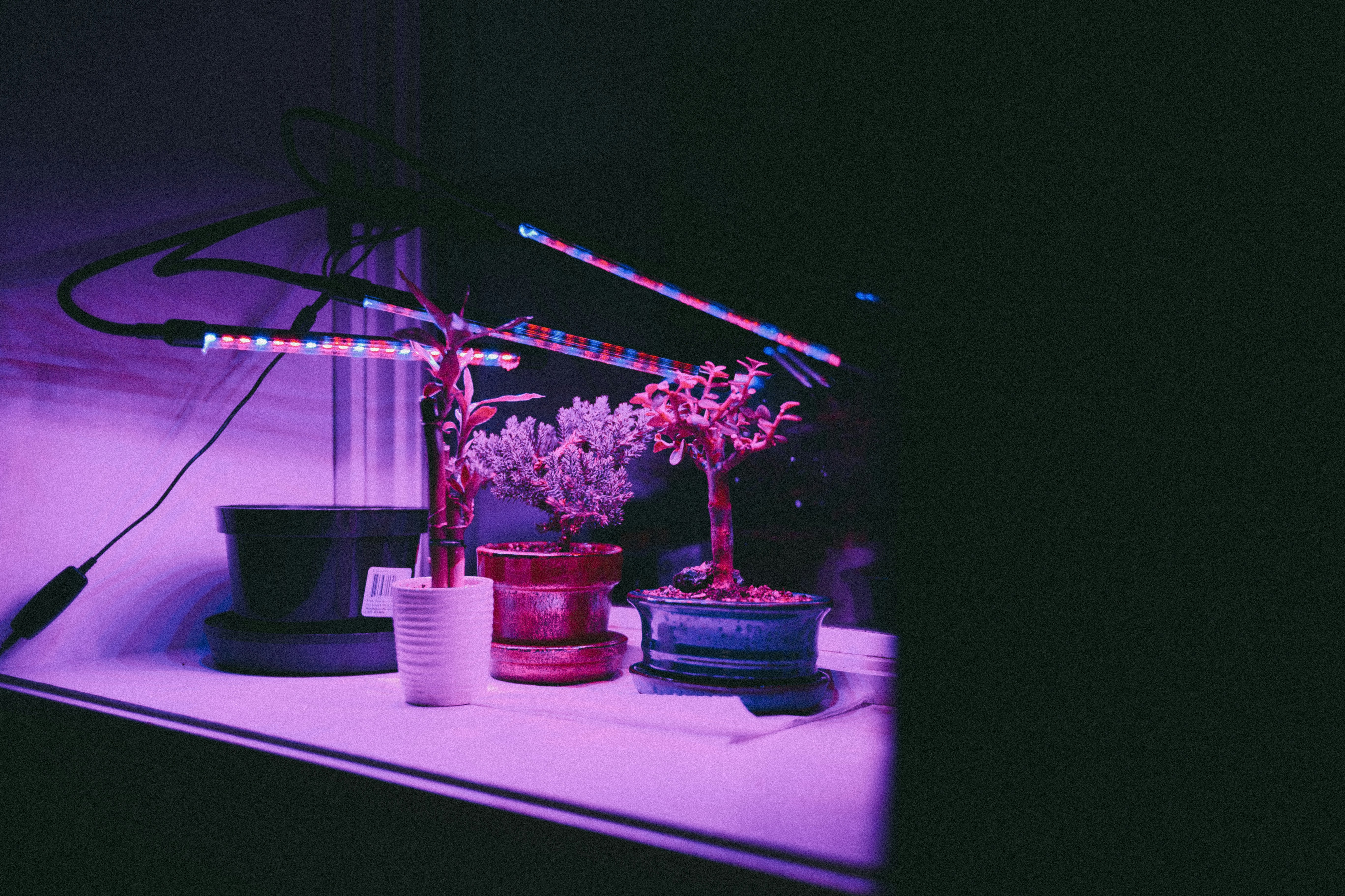 Photo by introspectivedsgn