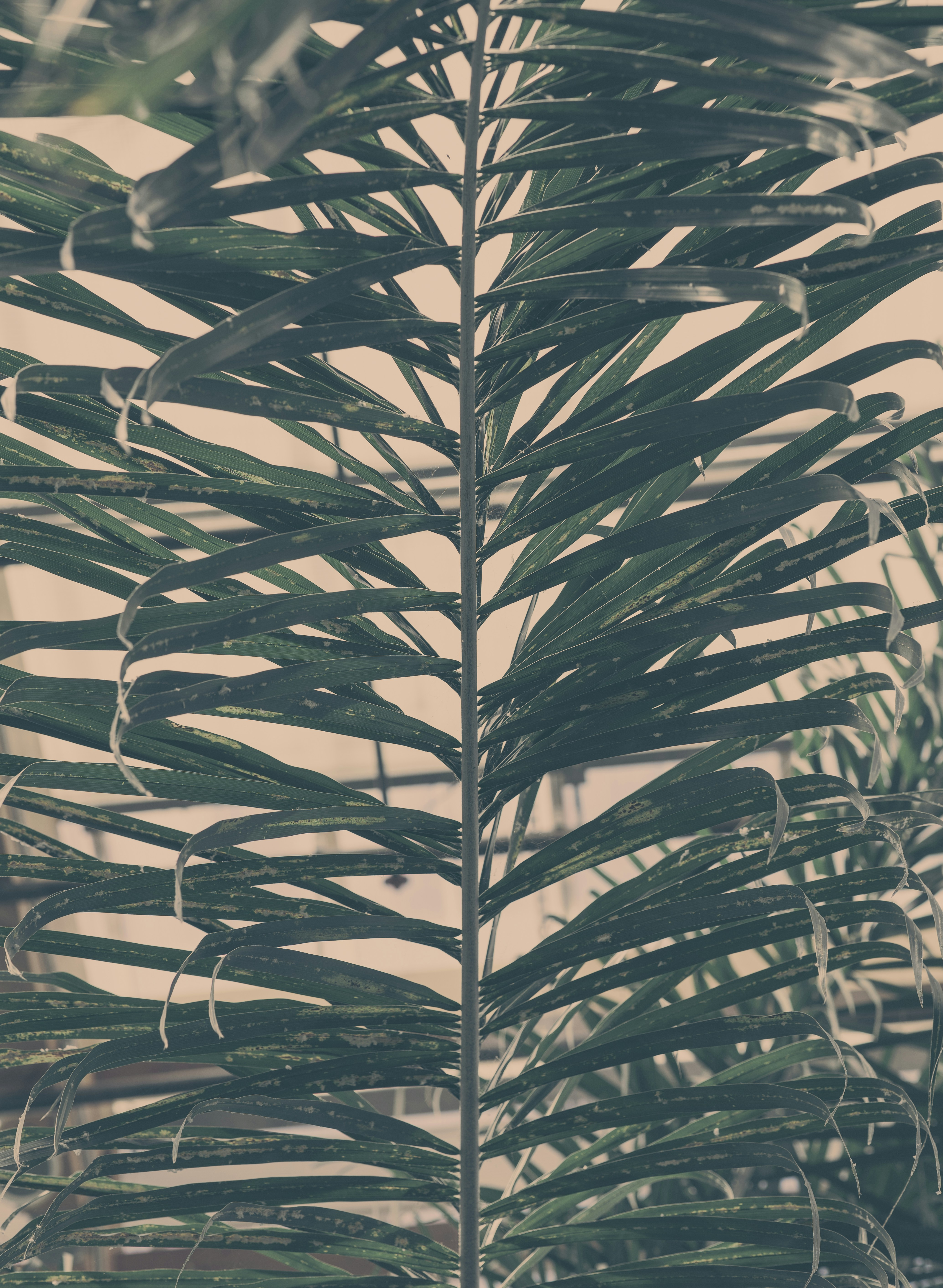 Photo by jeremyhrvtn