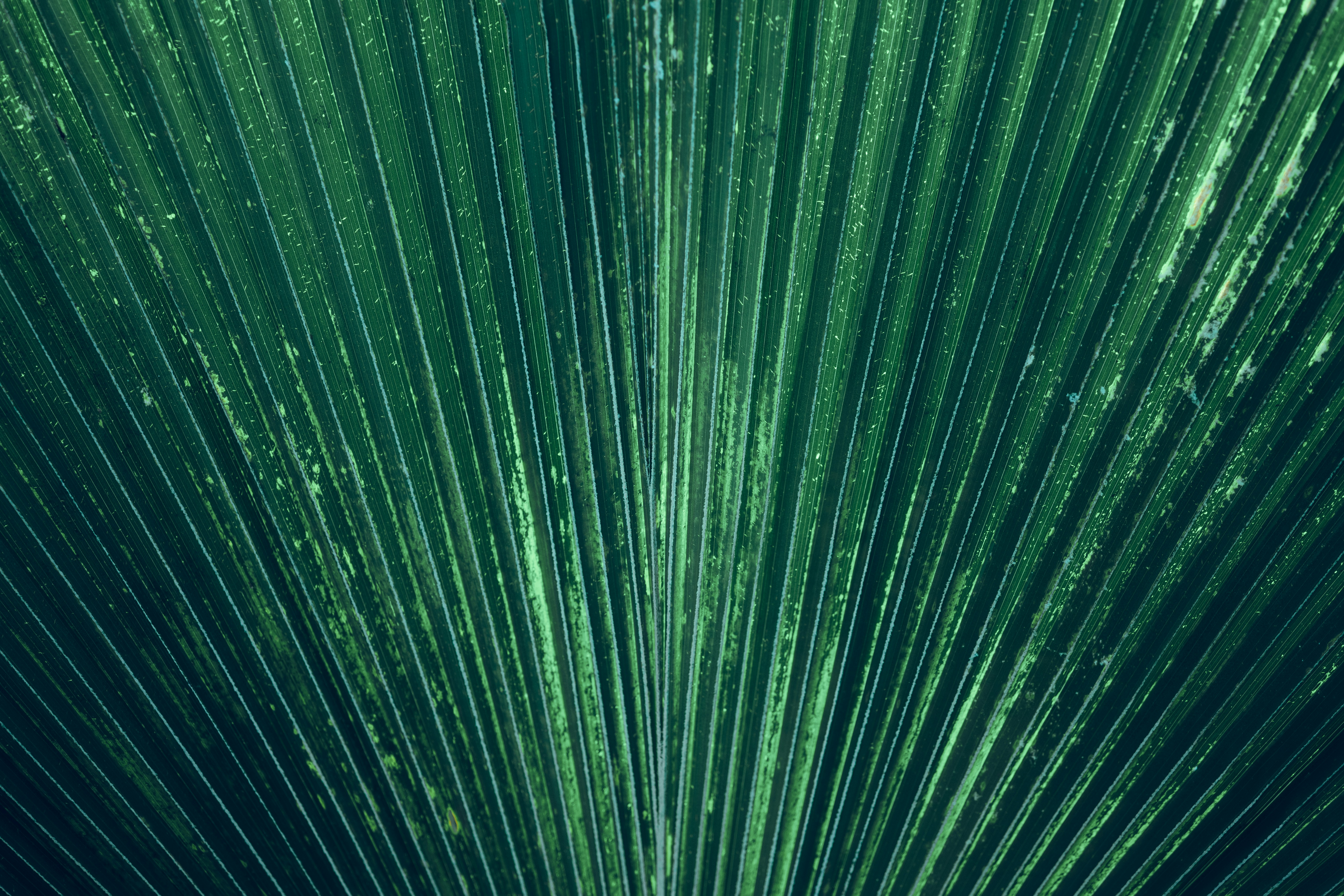 Photo by jeremyhrvtn