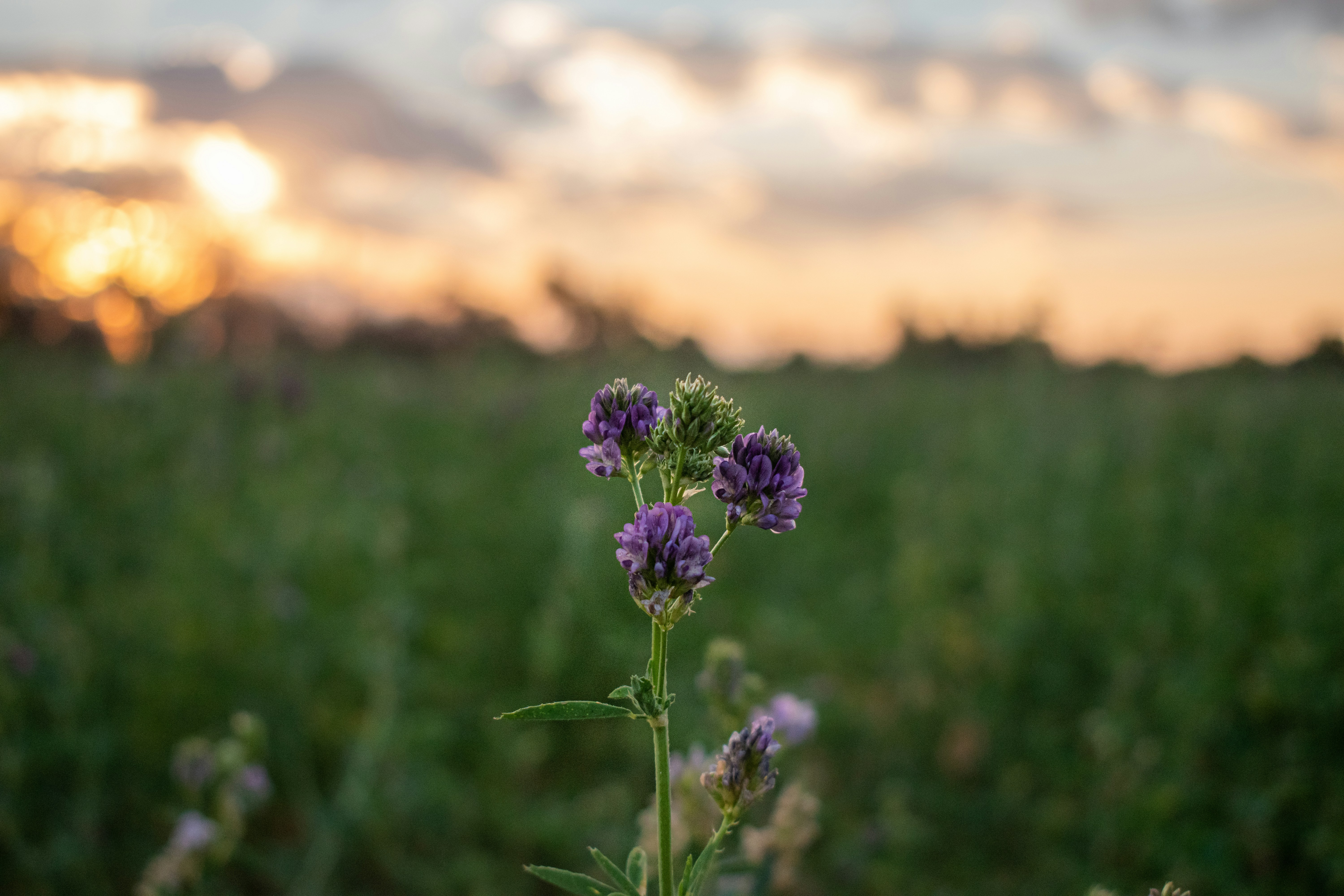 Photo by elisastonephotography