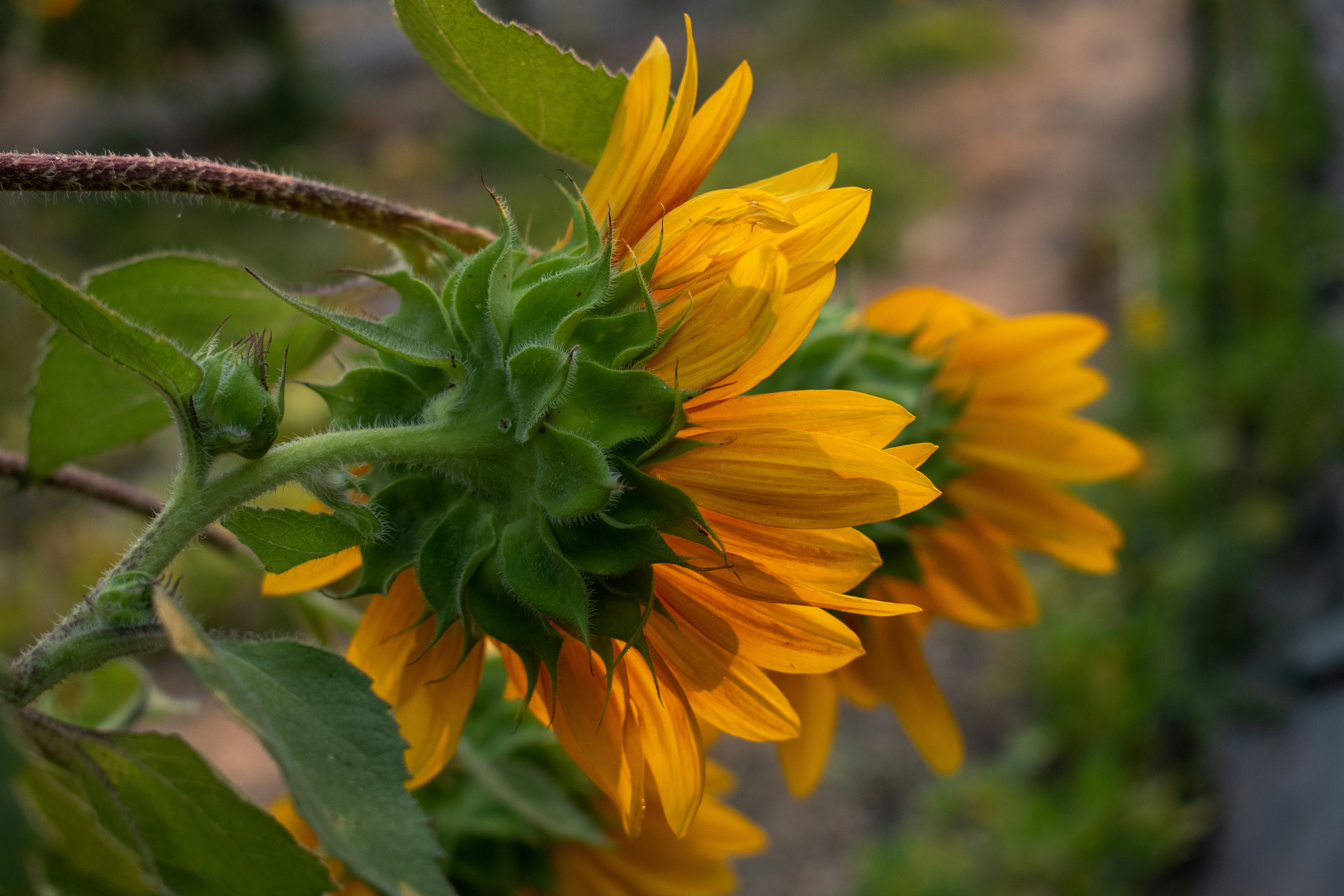 Photo by elisastonephotography