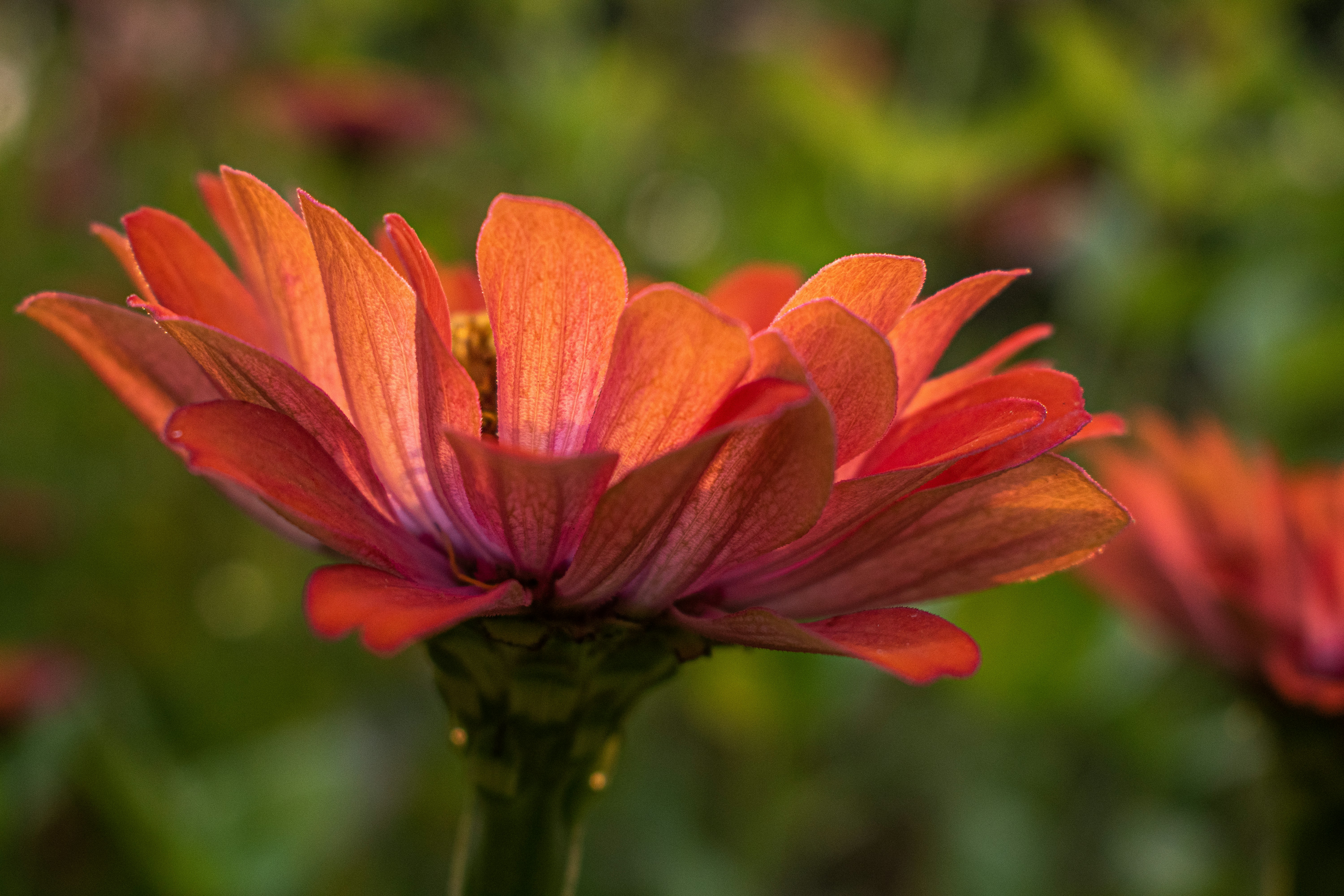 Photo by elisastonephotography