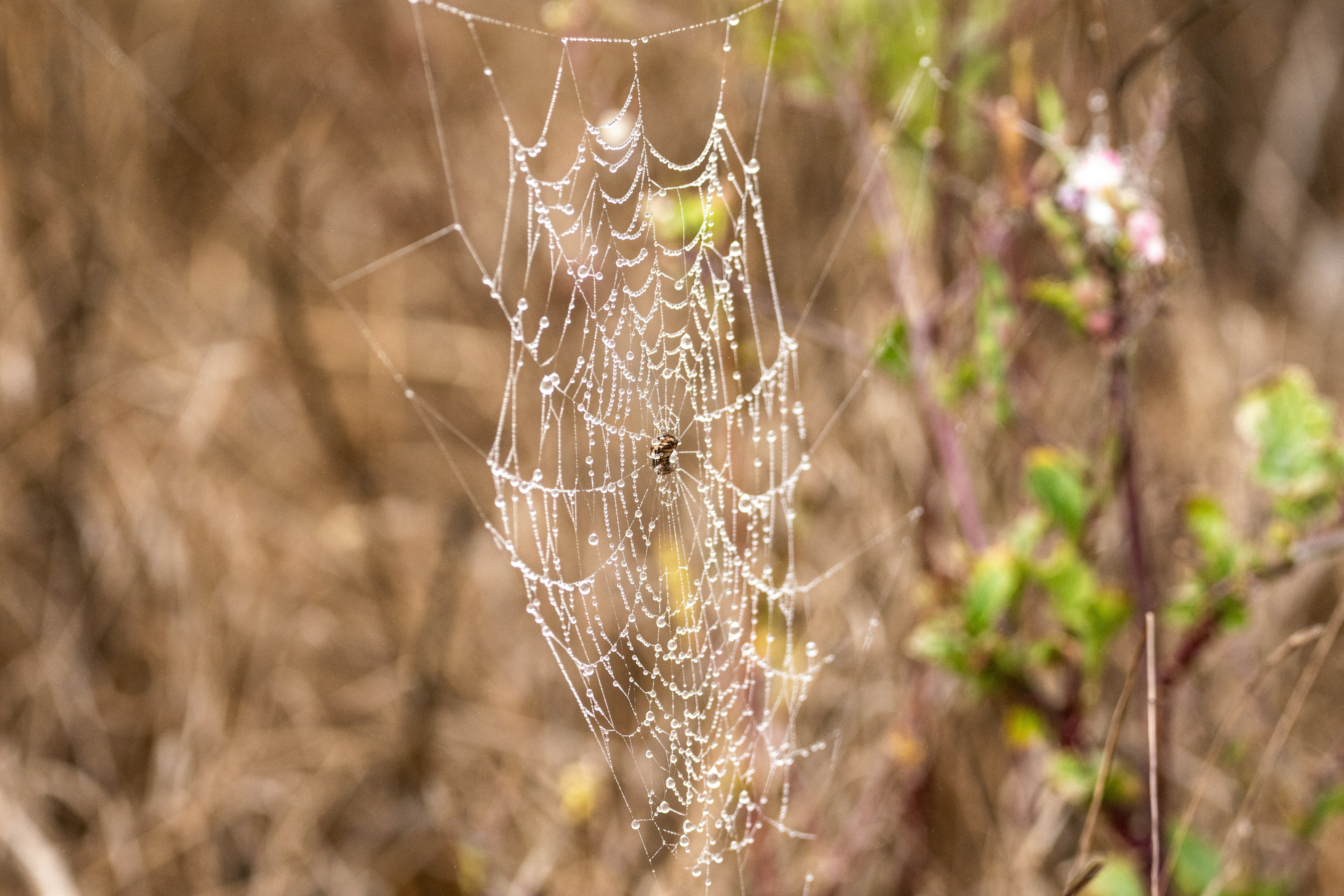 Photo by elisastonephotography