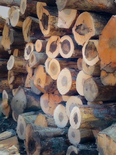 stack of brown wood logs