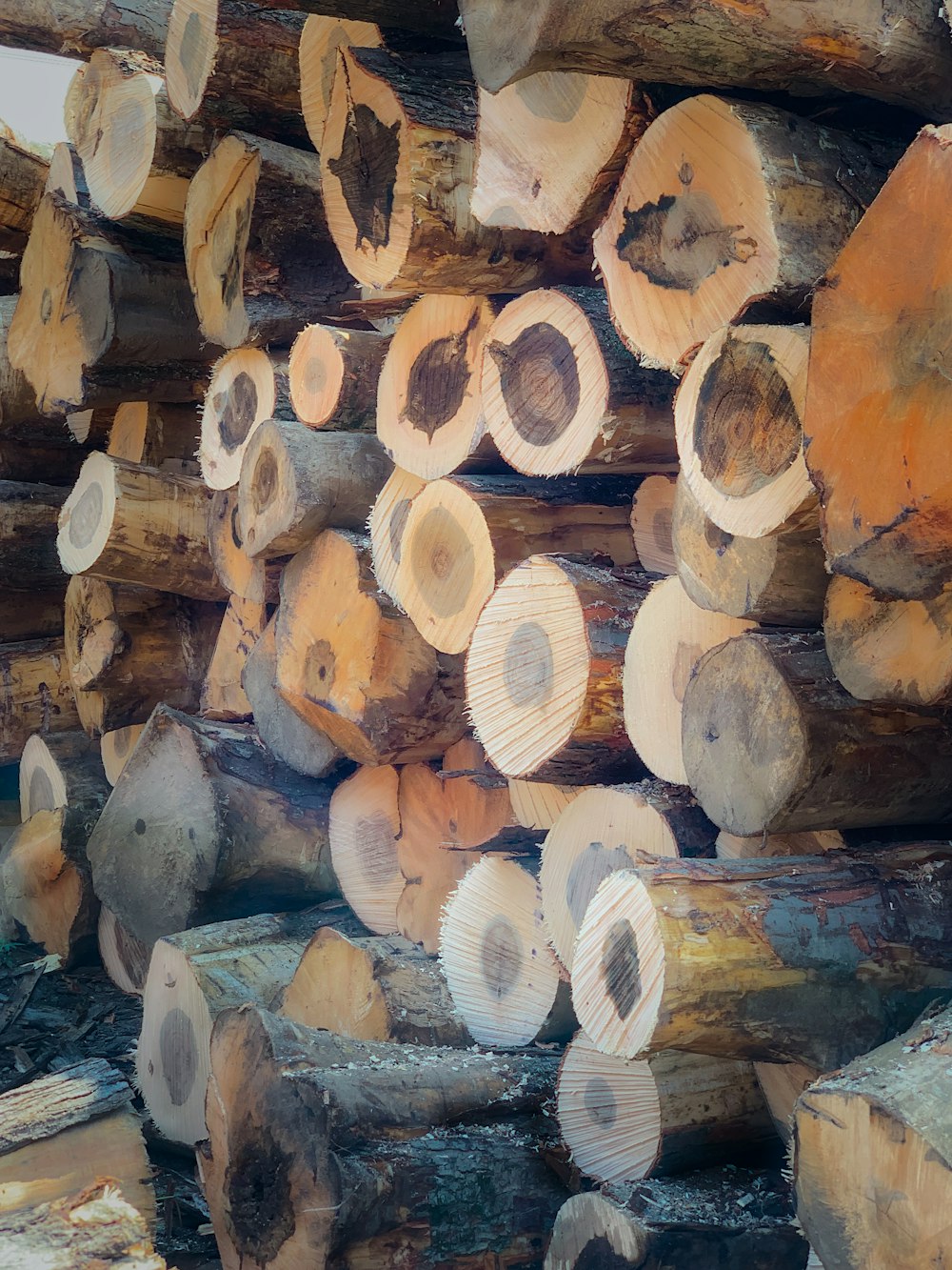 pila di tronchi di legno marrone