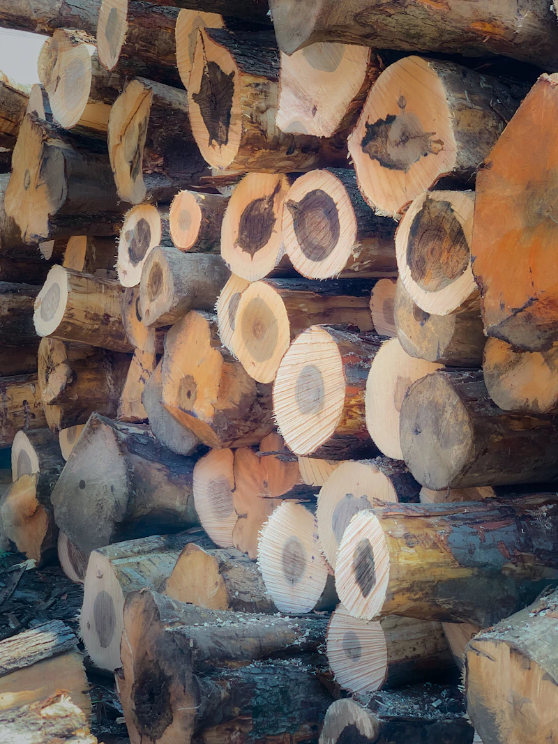 Stacks of freshly cut softwood in a Canadian lumber yard